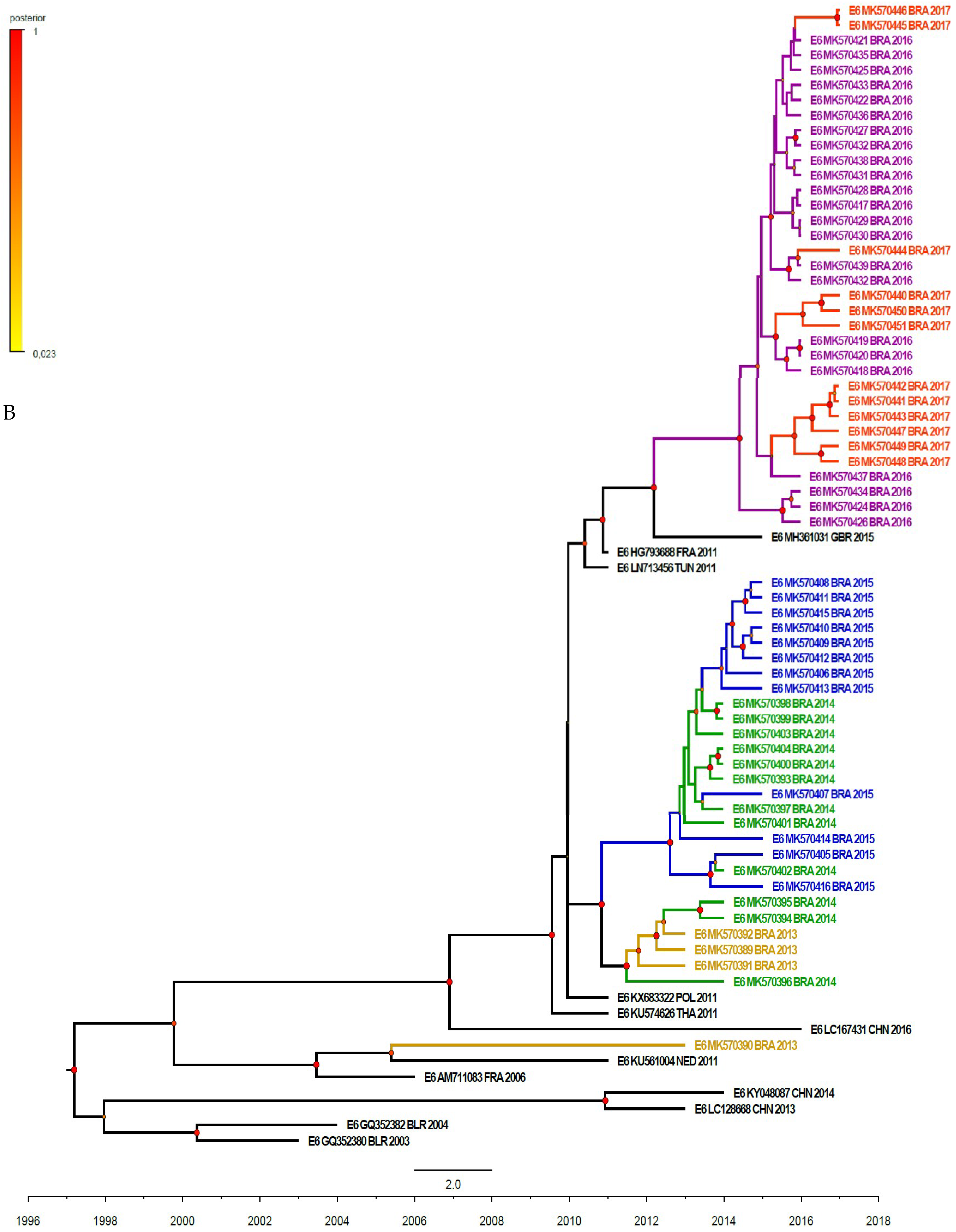 Viruses 11 00690 g004b
