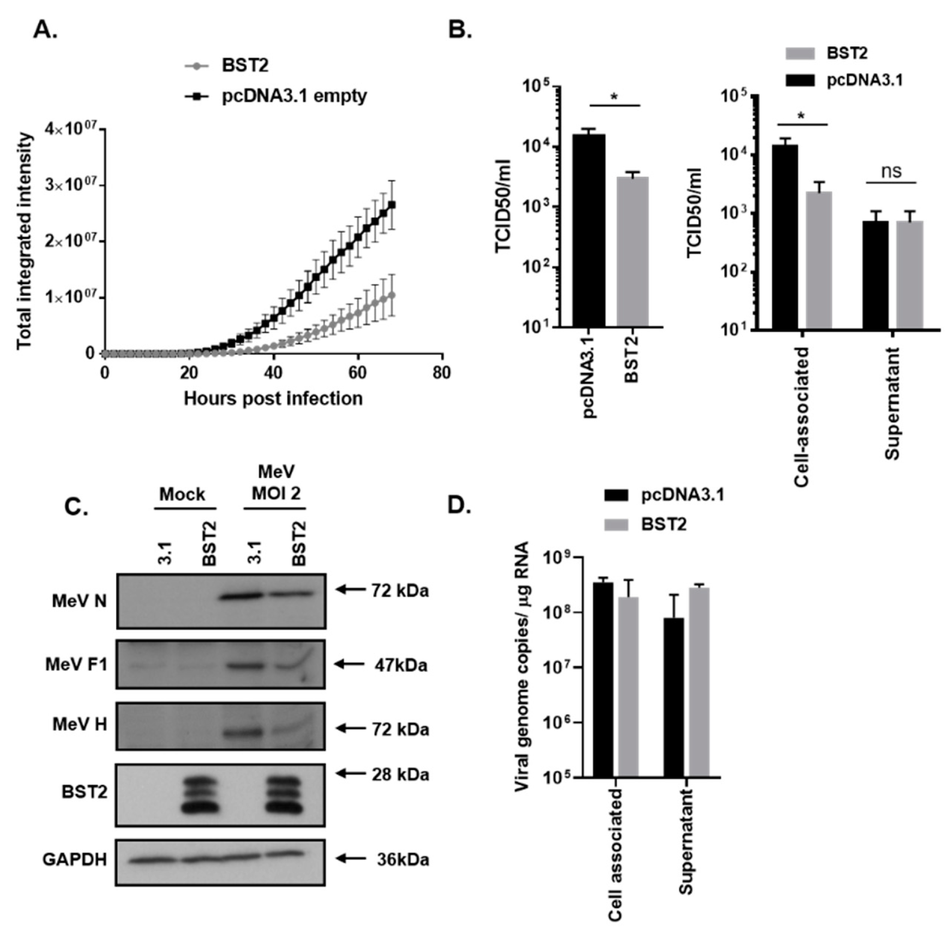 Viruses 11 00692 g001