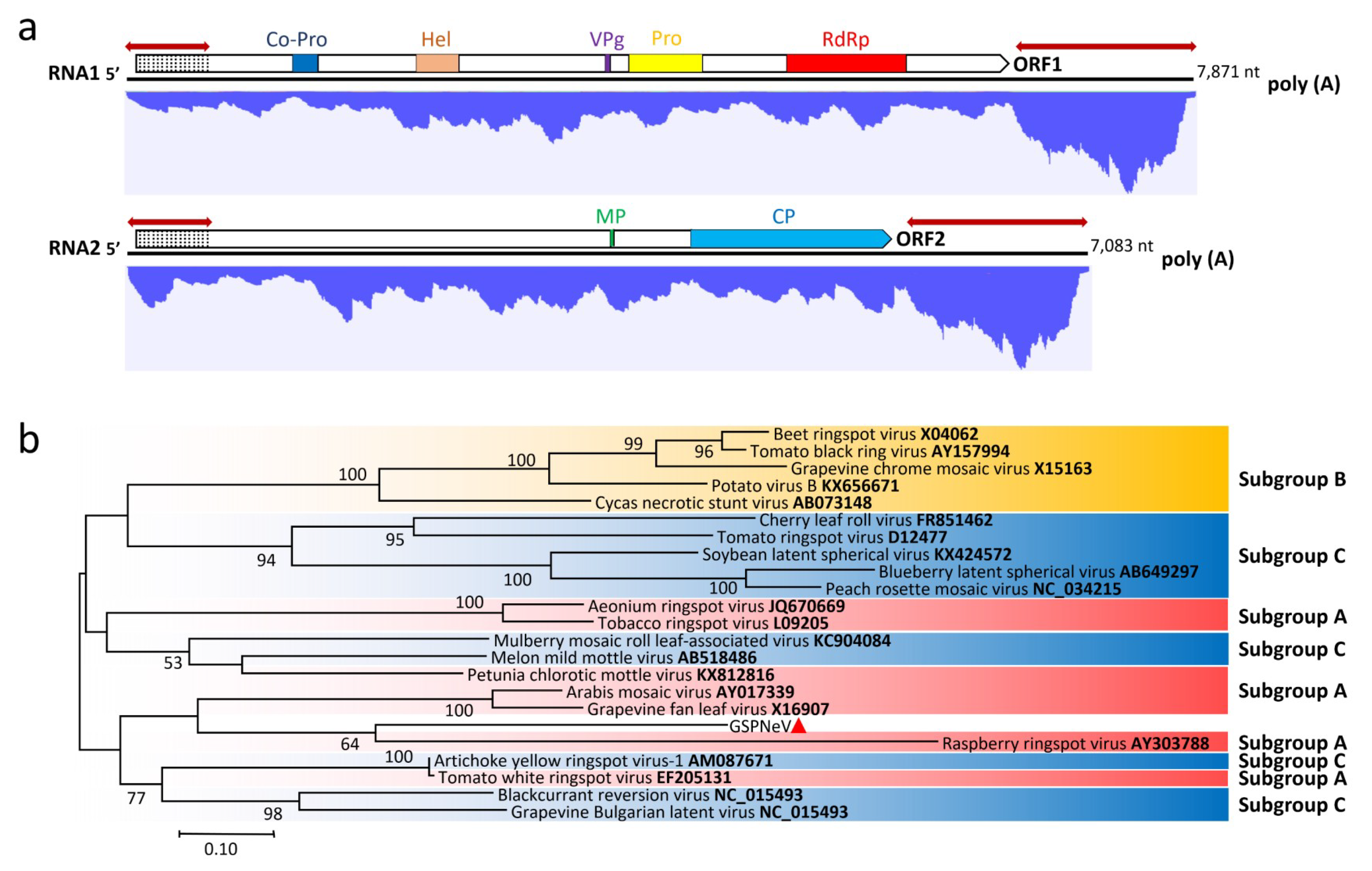 Viruses 11 00696 g002
