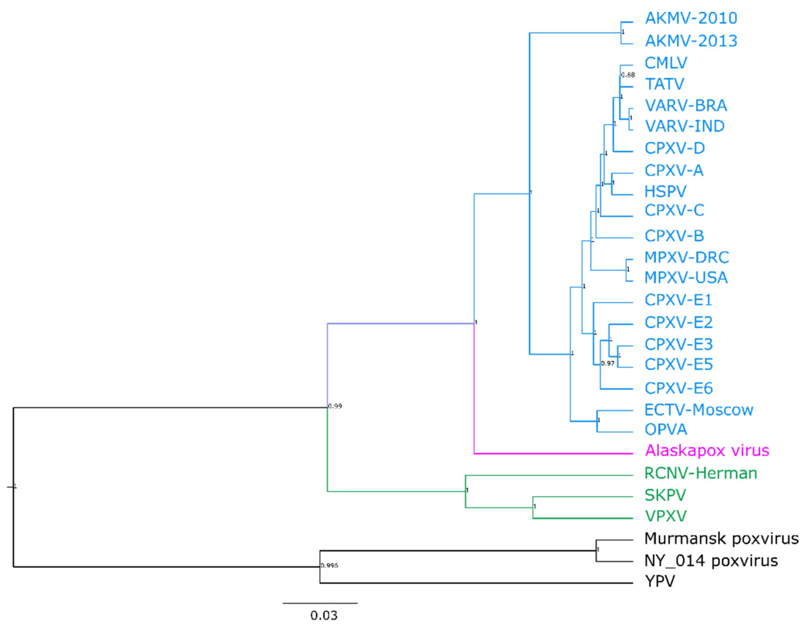 Viruses 11 00708 g001