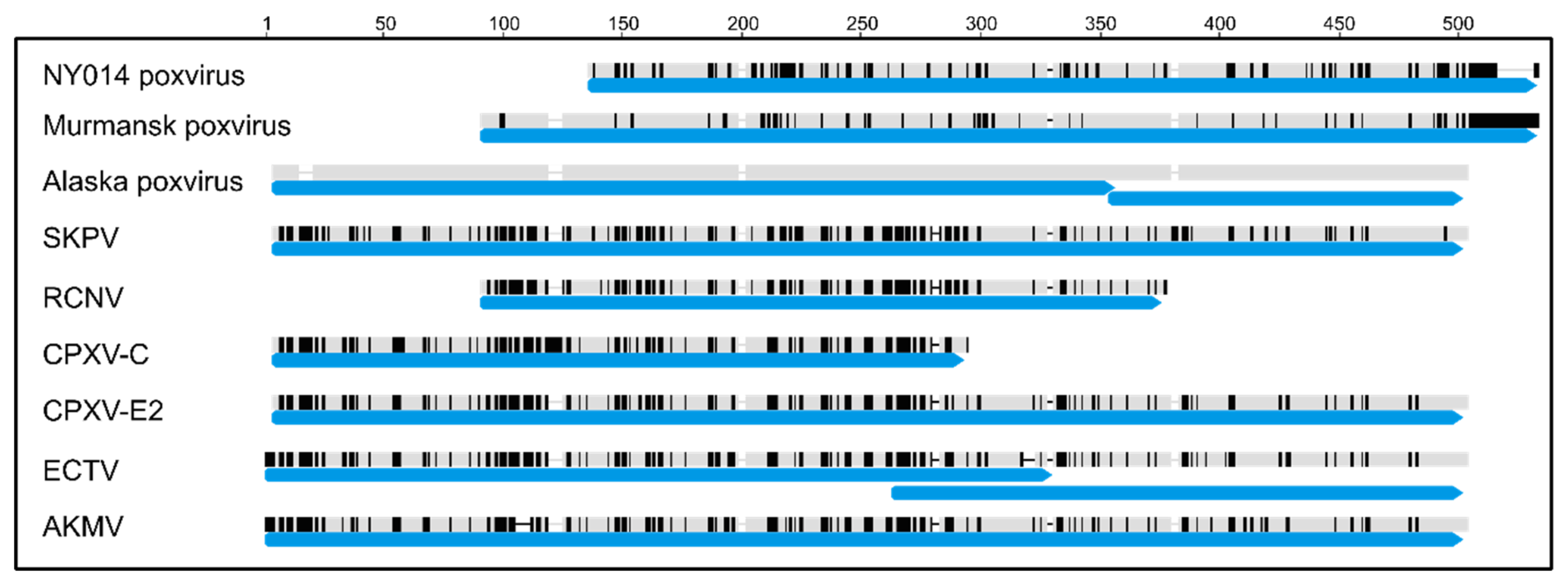 Viruses 11 00708 g002