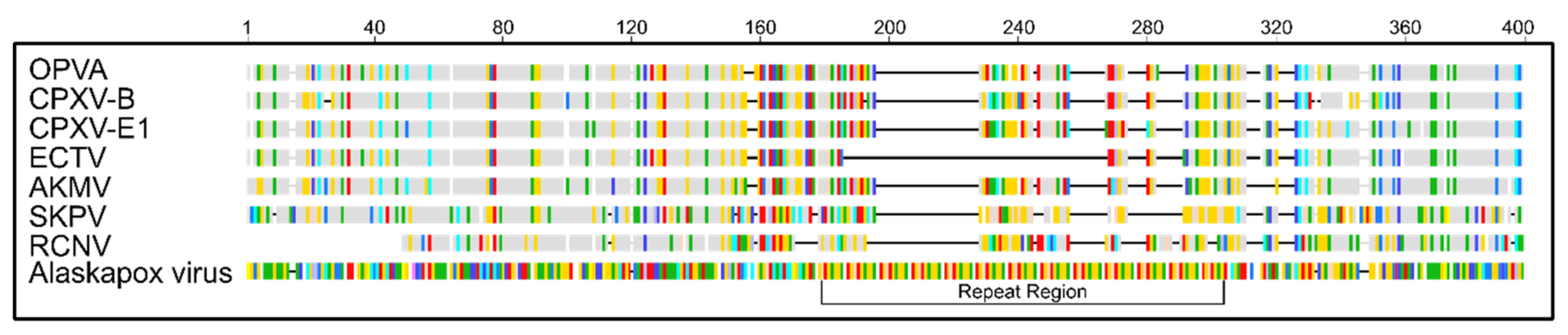 Viruses 11 00708 g003