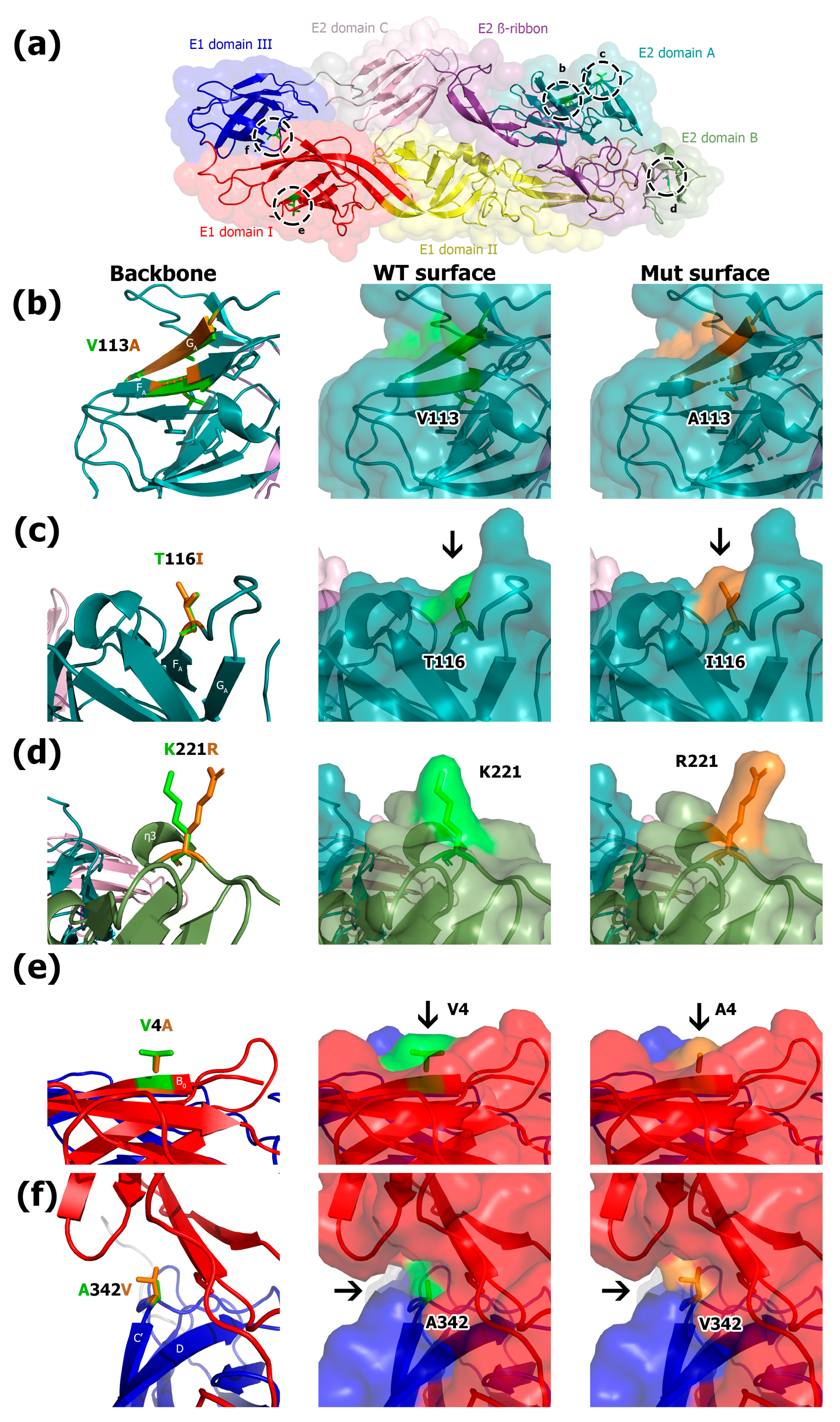 Viruses 11 00714 g003