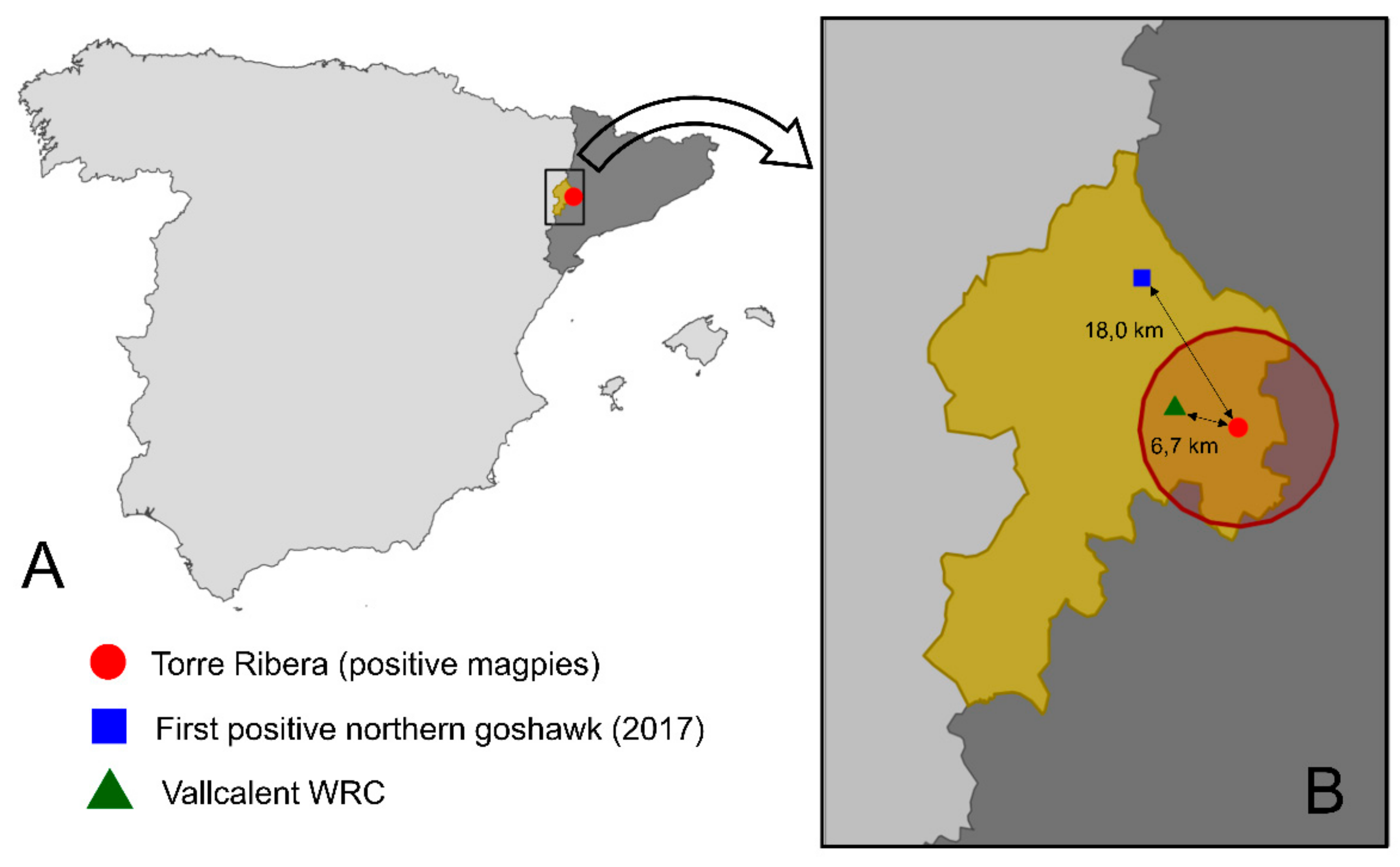 Viruses 11 00716 g001