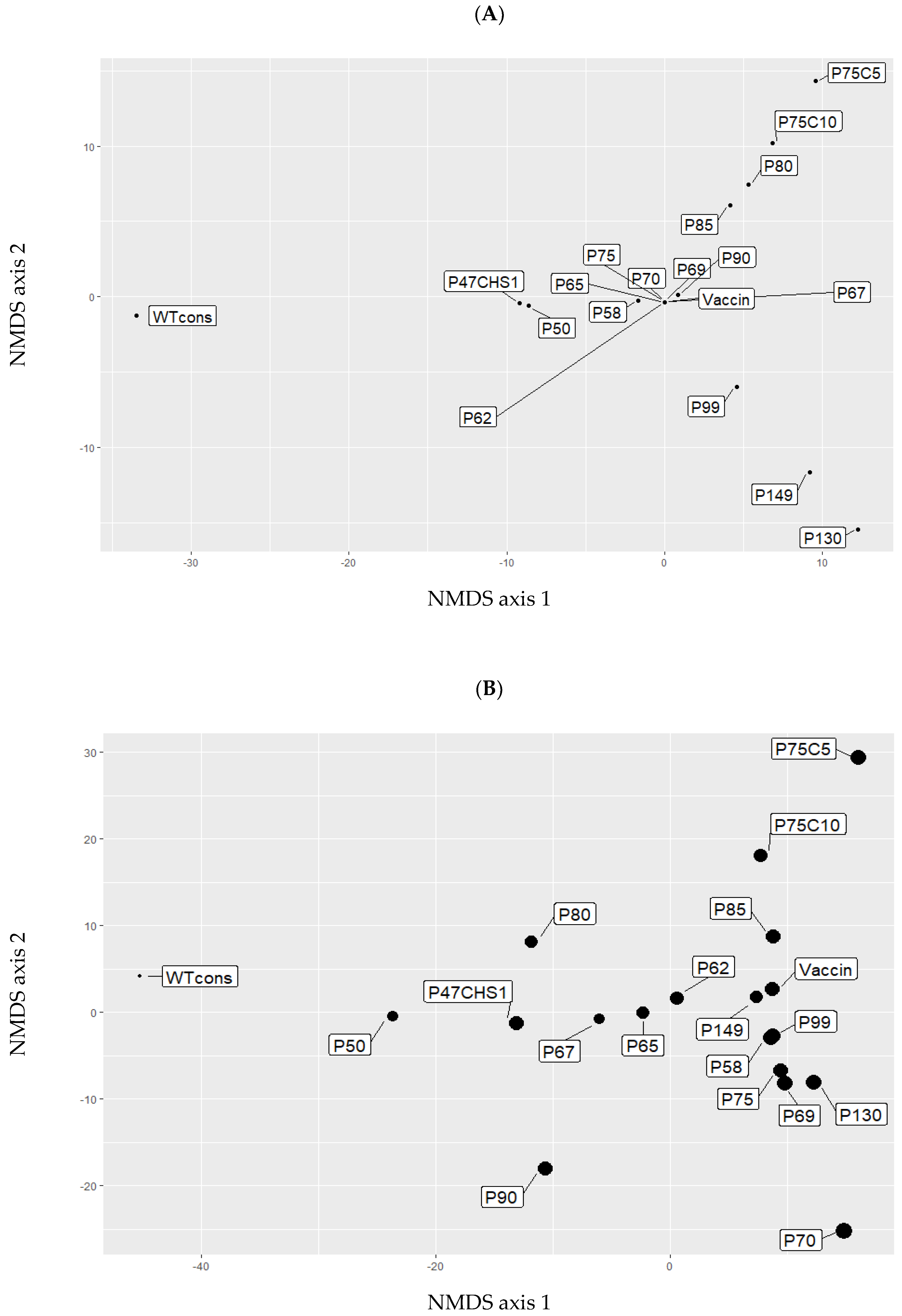 Viruses 11 00724 g003 Viruses 11 00724 g003