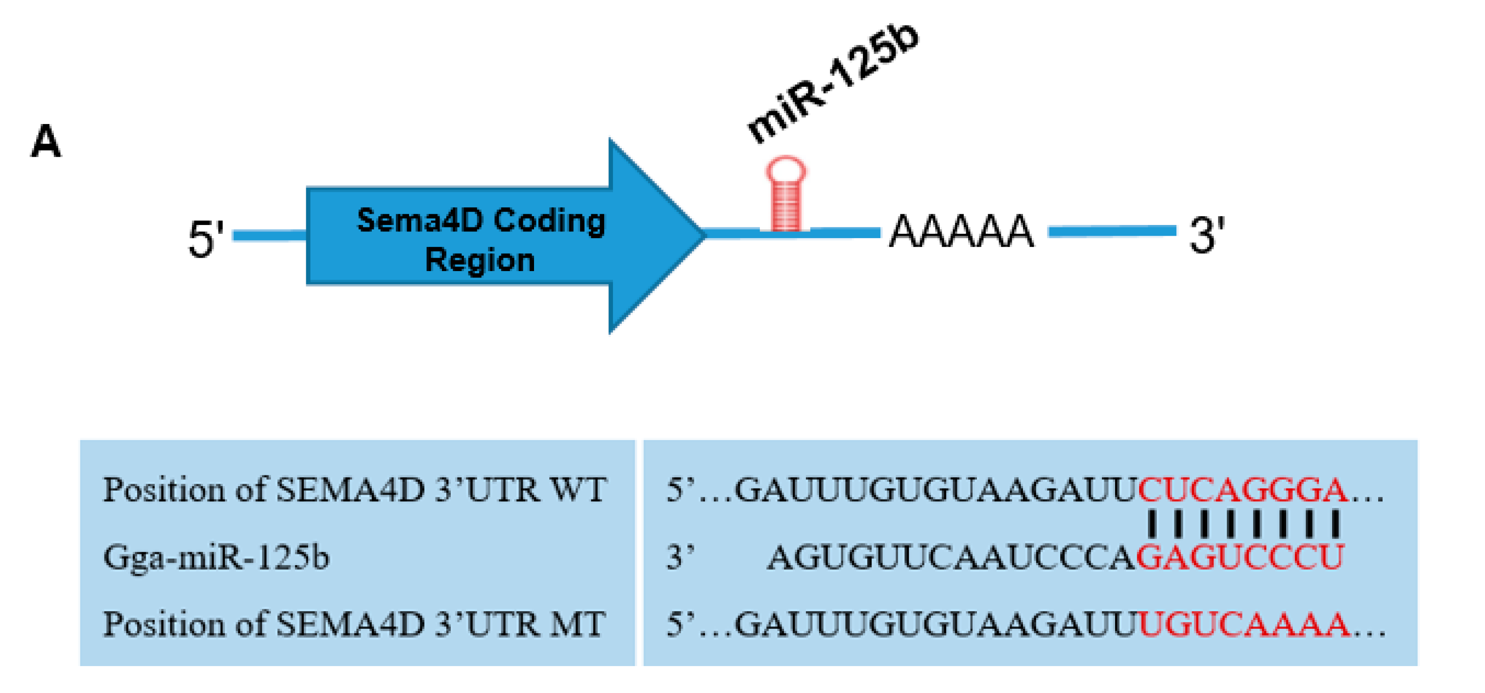 Viruses 11 00728 g002a