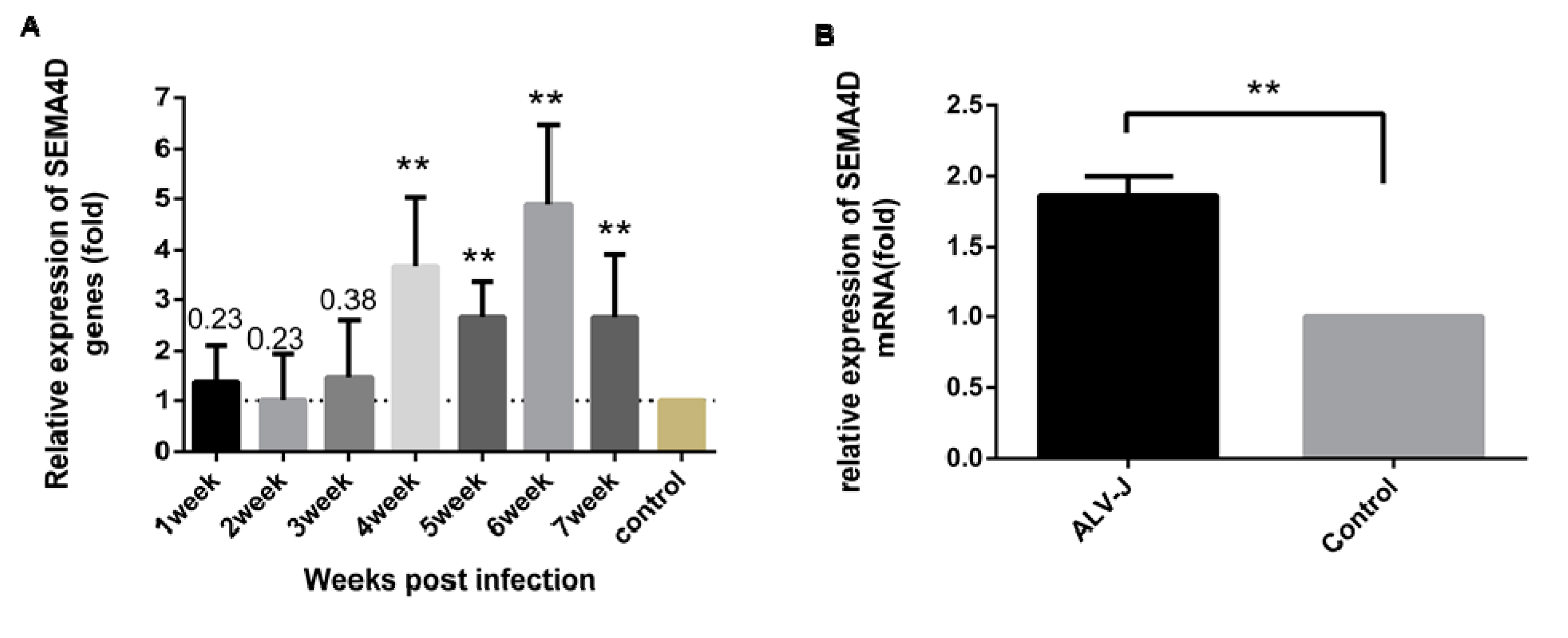 Viruses 11 00728 g004