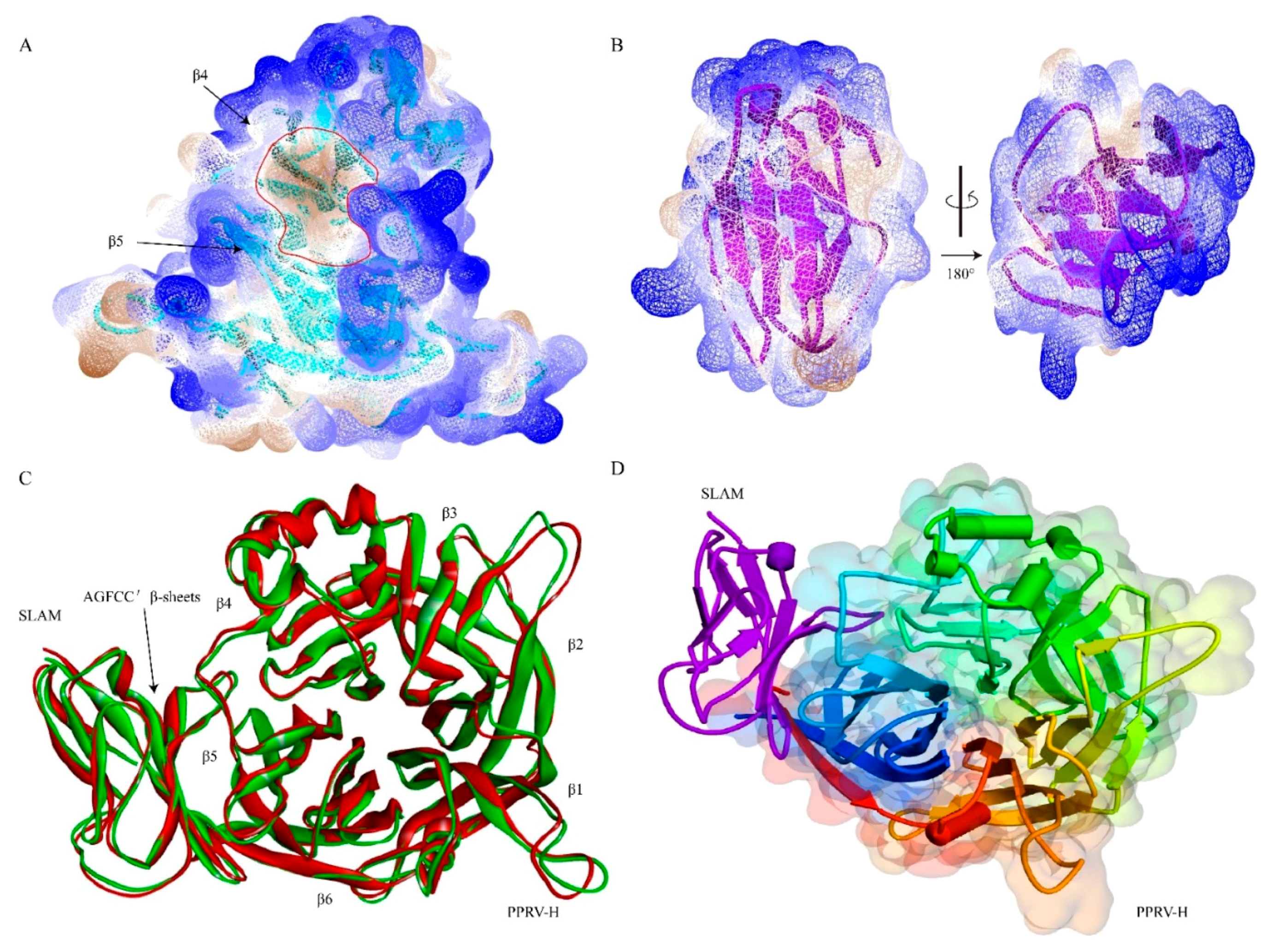 Viruses 11 00729 g001