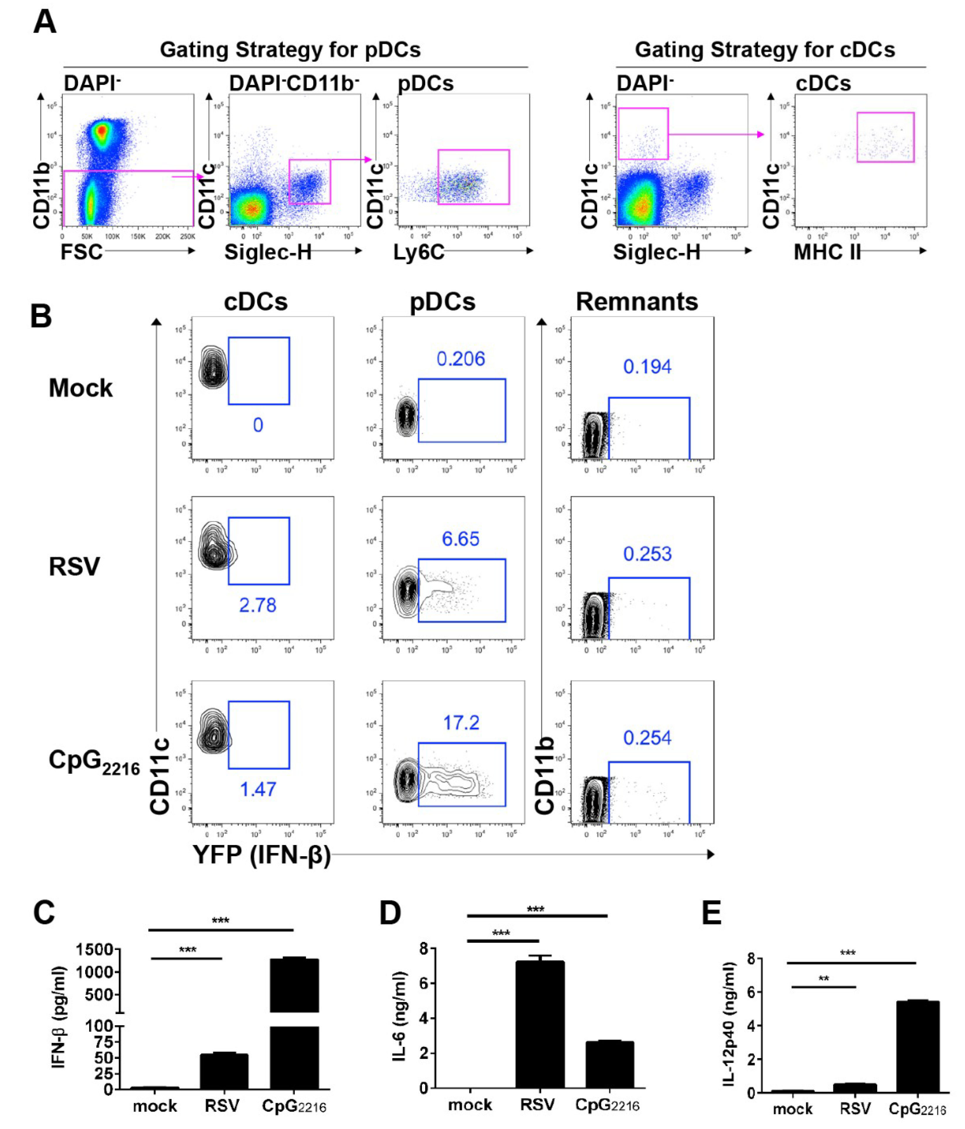 Viruses 11 00730 g001 Viruses 11 00730 g001