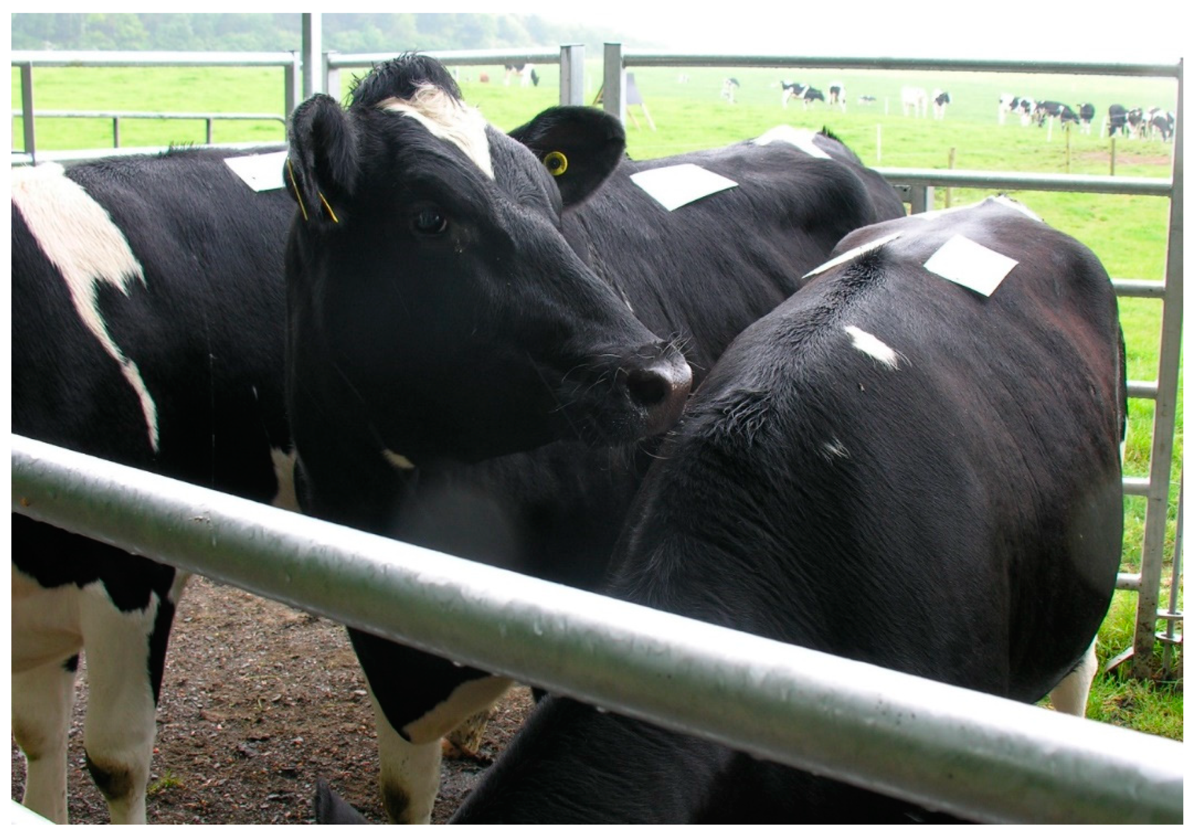 Viruses 11 00731 g001