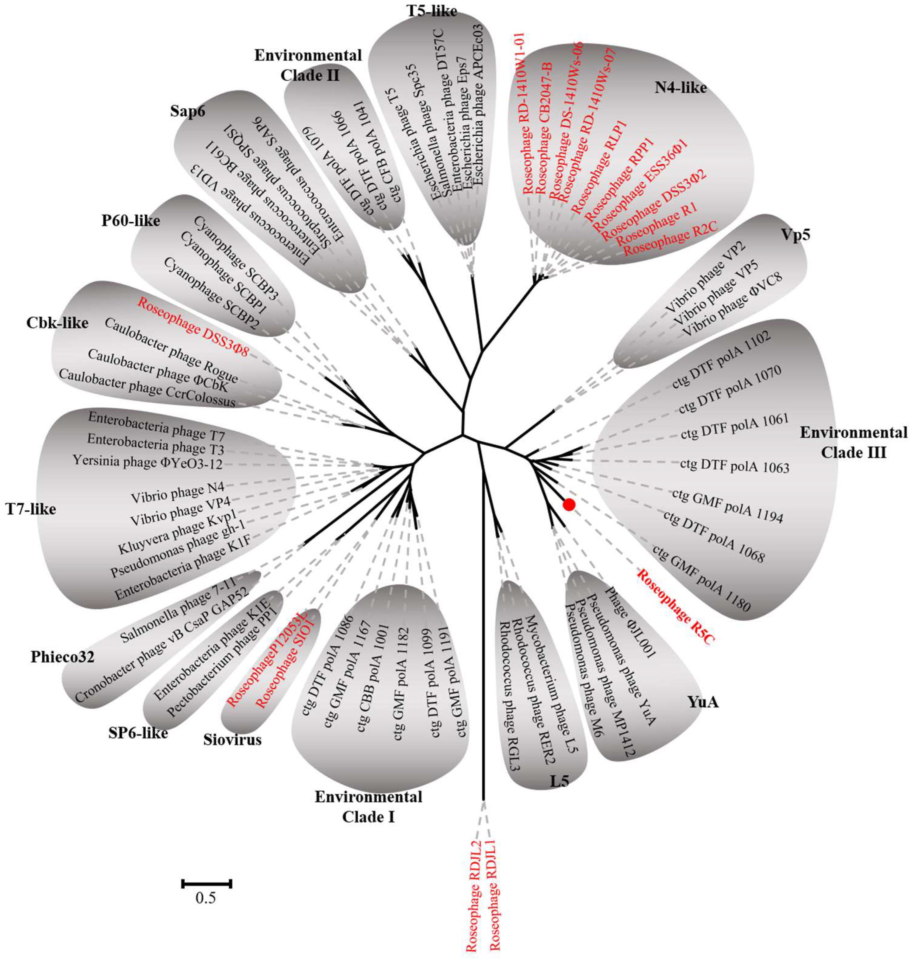 Viruses 11 00734 g005 550
