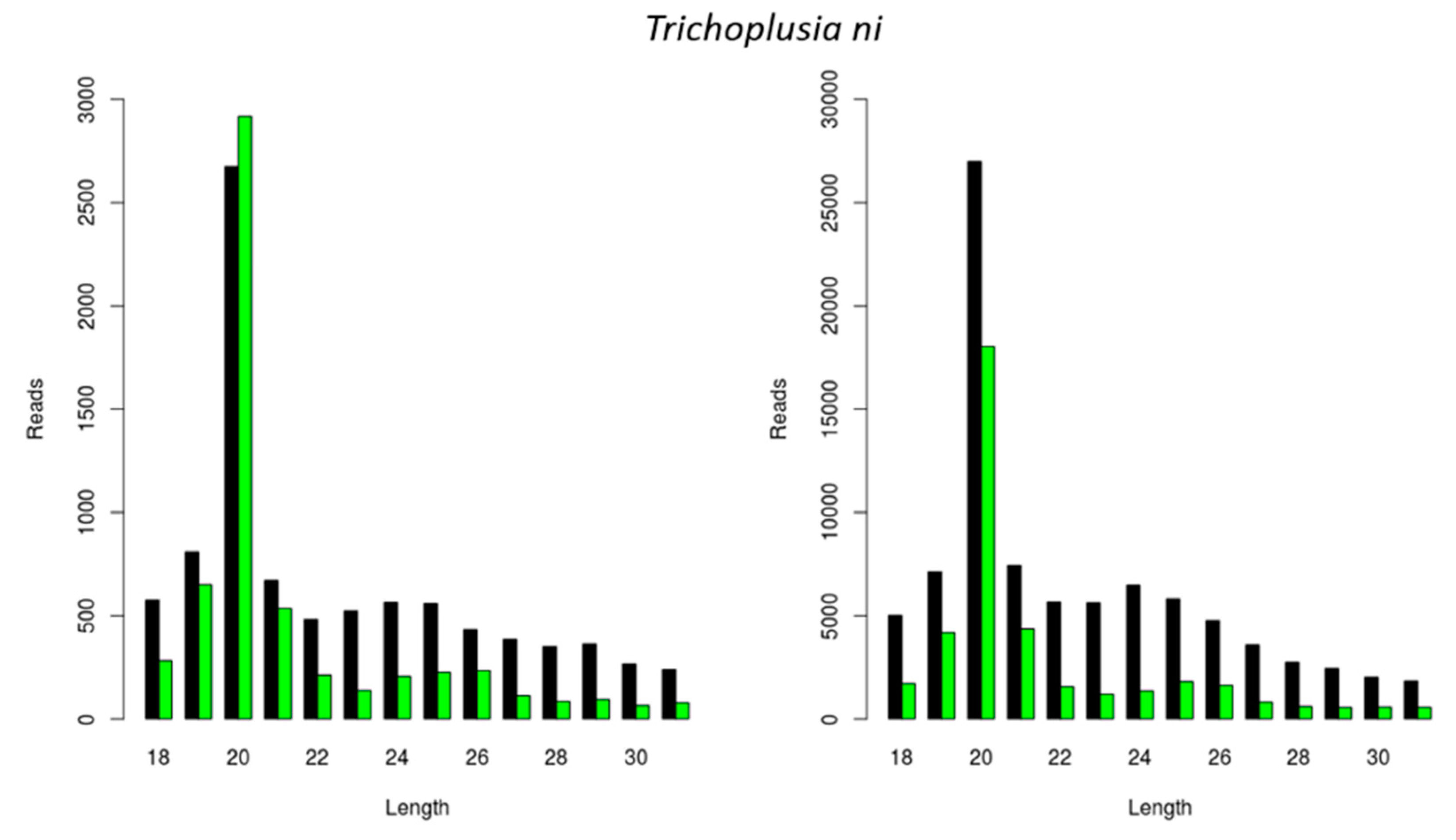 Viruses 11 00738 g003 Viruses 11 00738 g003