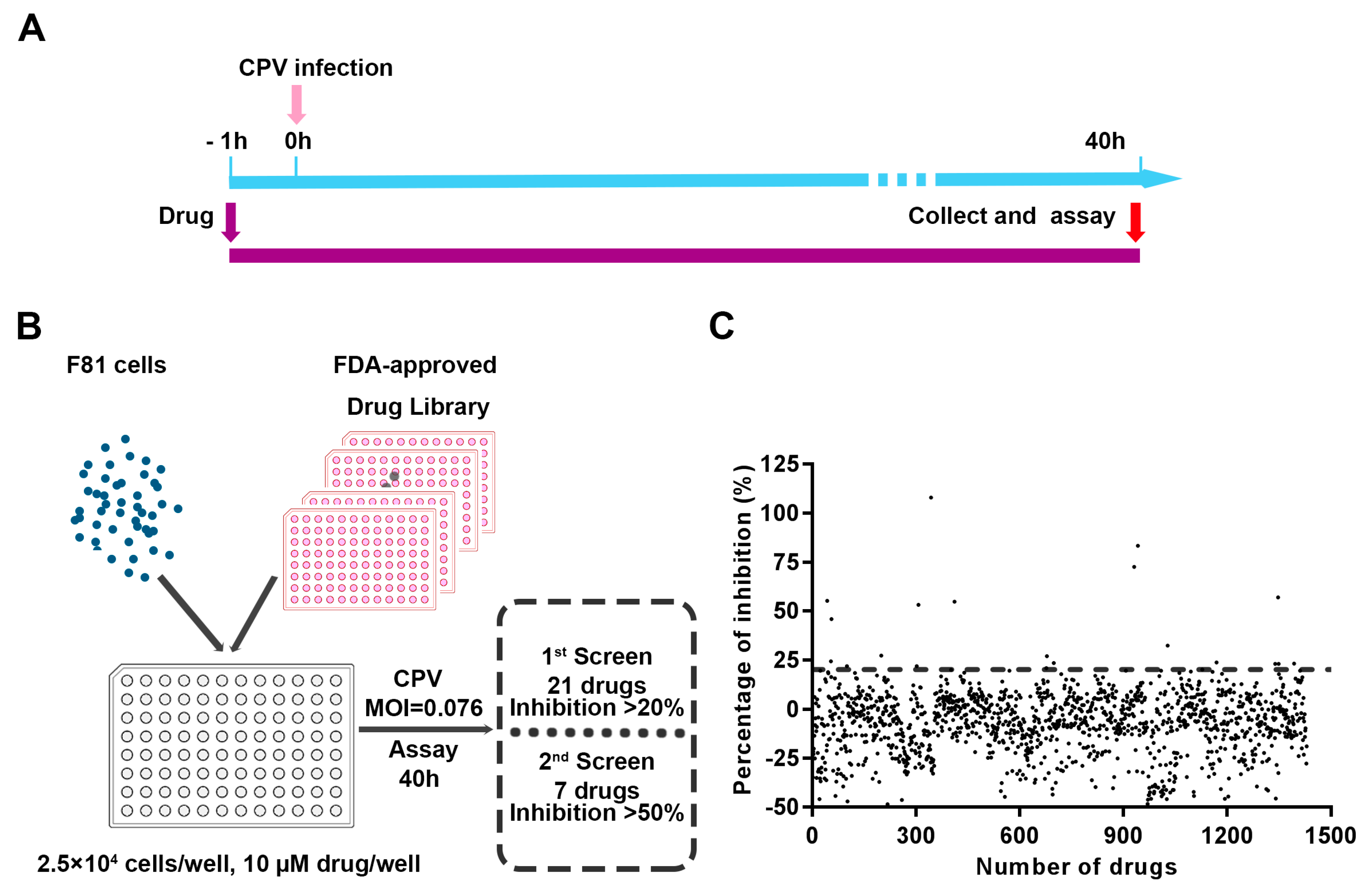 Viruses 11 00742 g001 Viruses 11 00742 g001