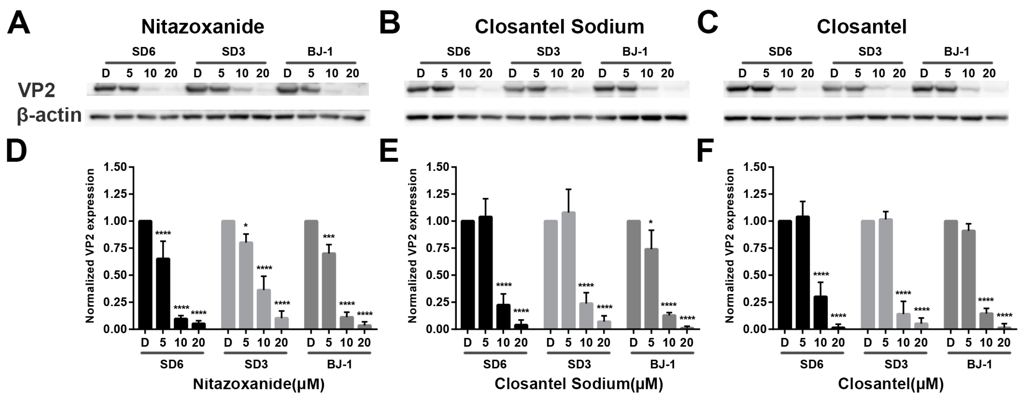 Viruses 11 00742 g006 Viruses 11 00742 g006