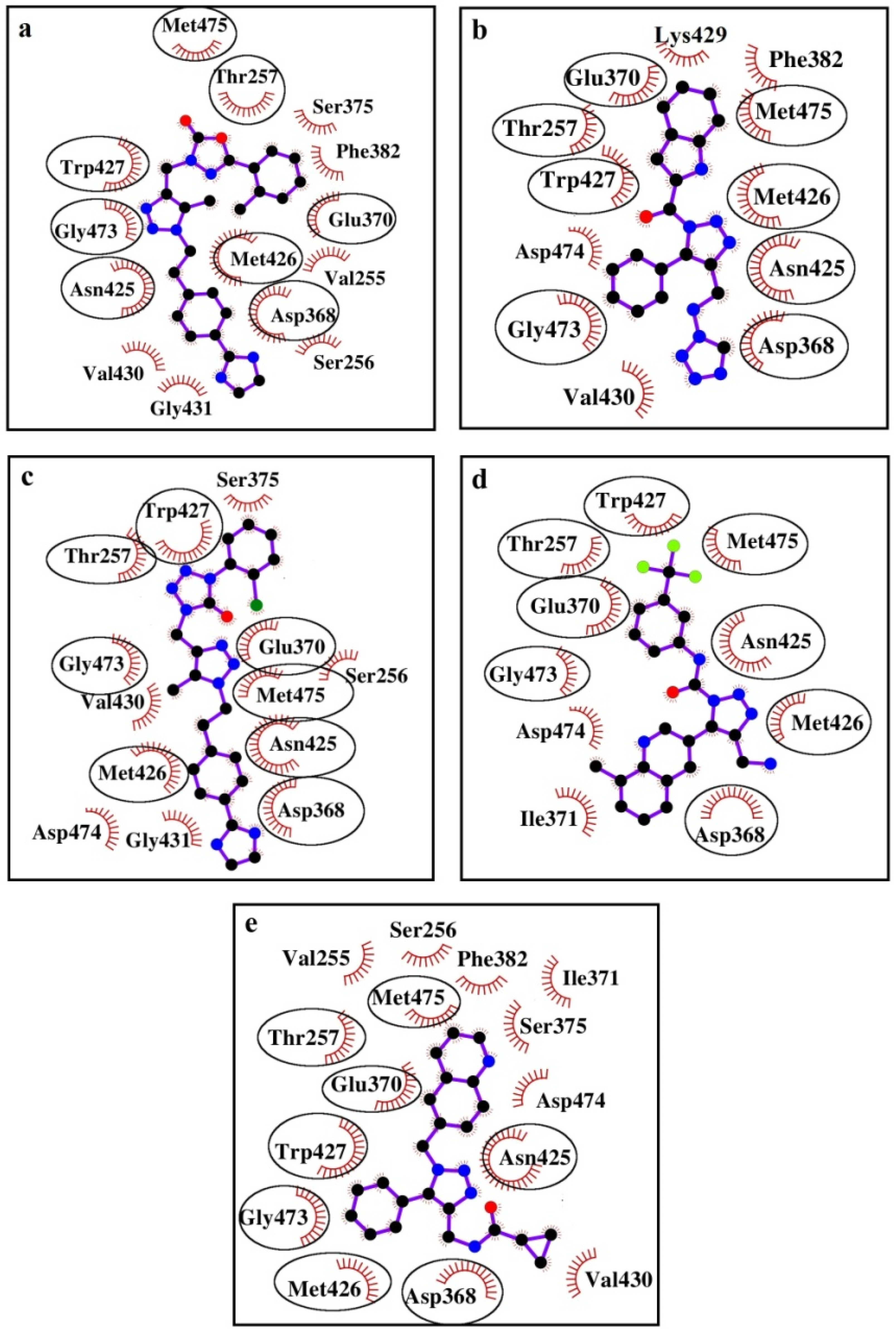 Viruses 11 00746 g006