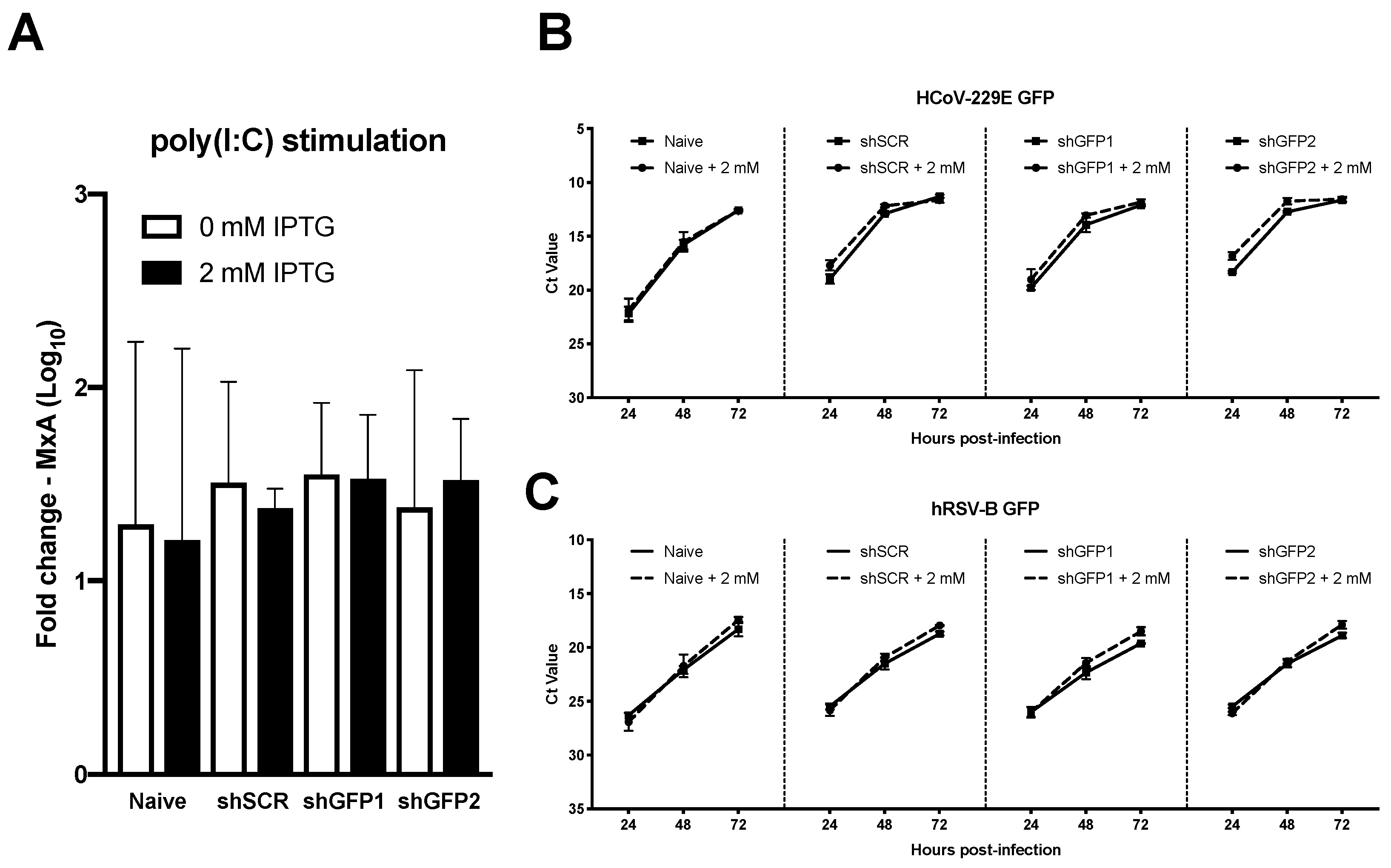 Viruses 11 00747 g006