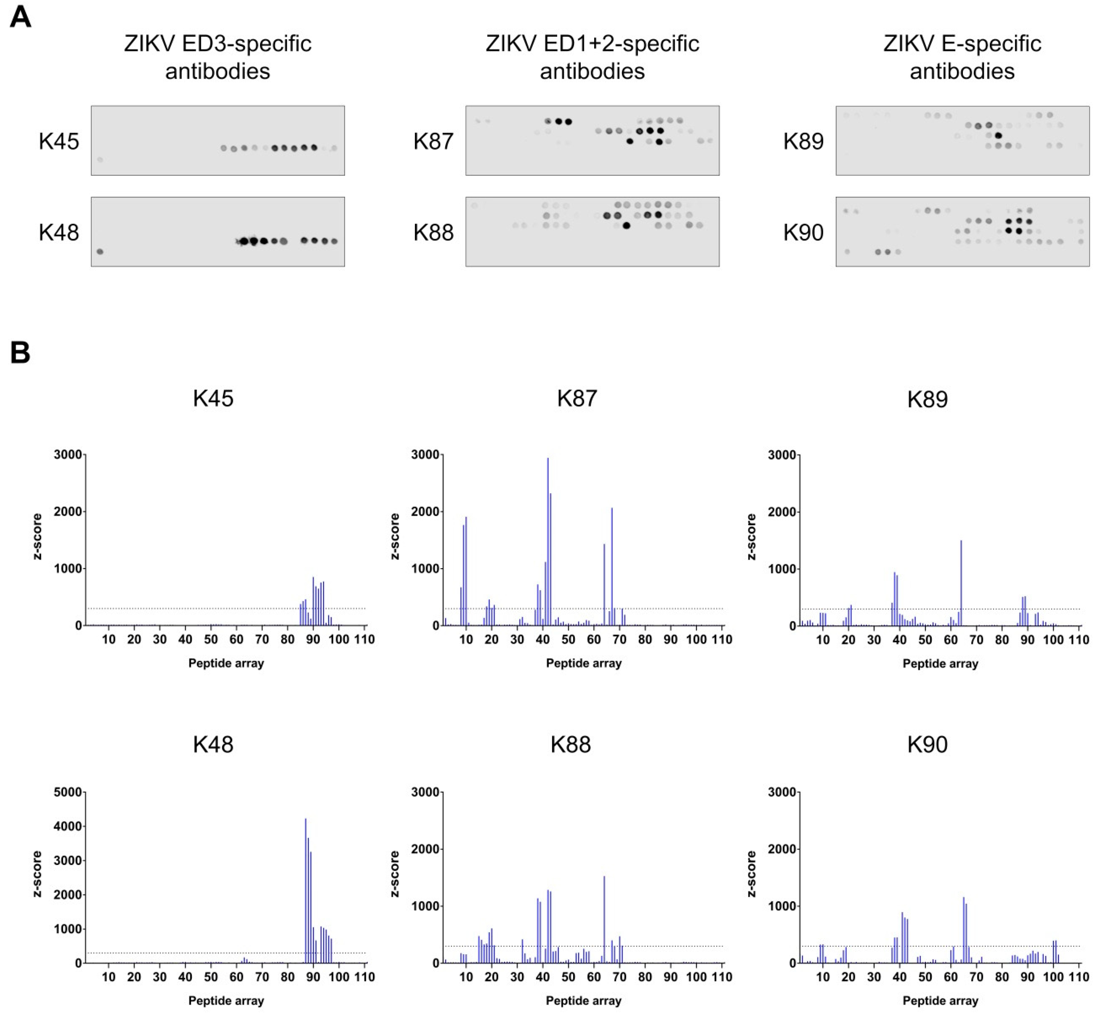 Viruses 11 00748 g006