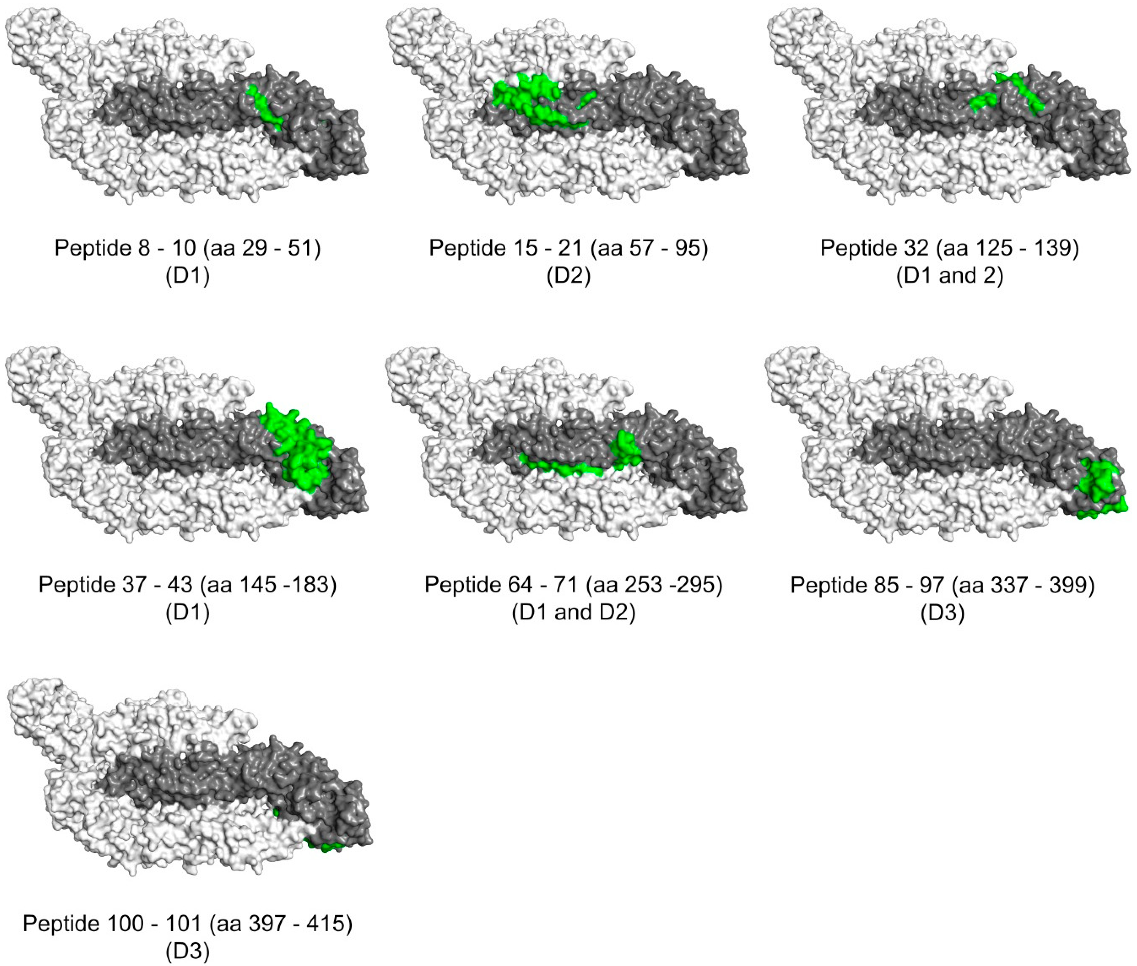 Viruses 11 00748 g007