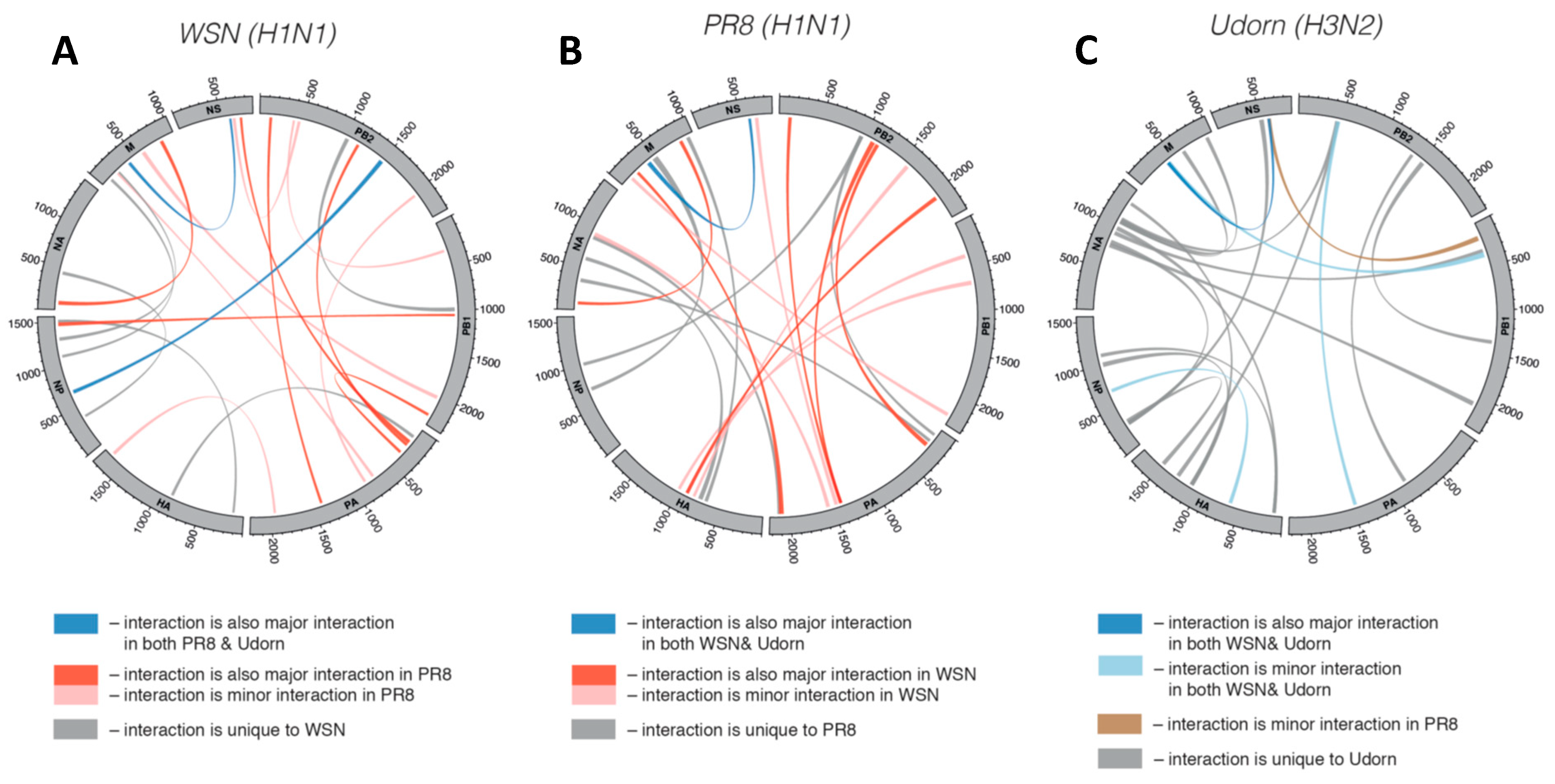Viruses 11 00751 g002