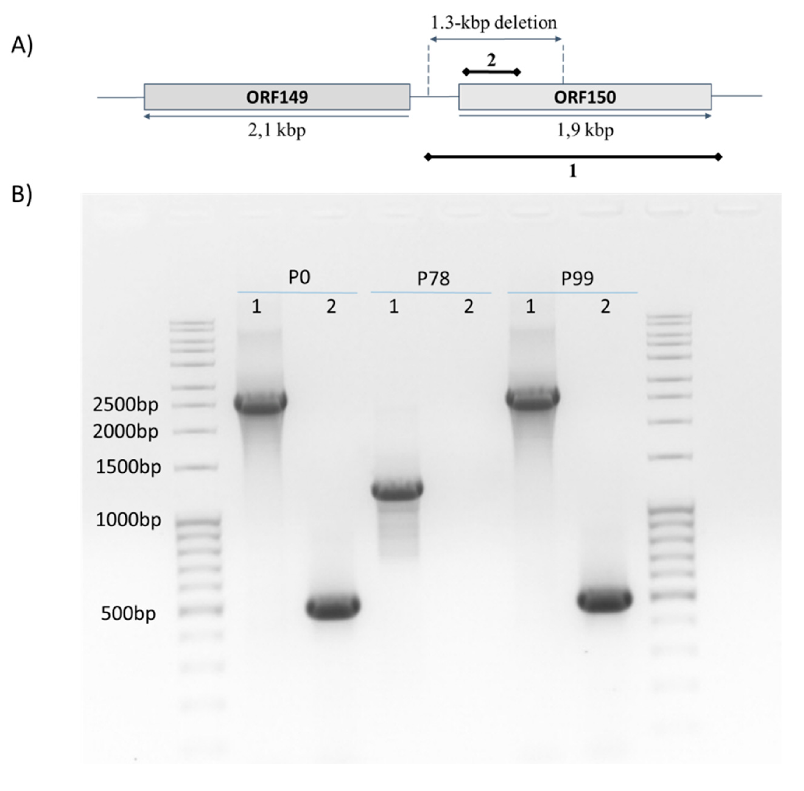 Viruses 11 00754 g003