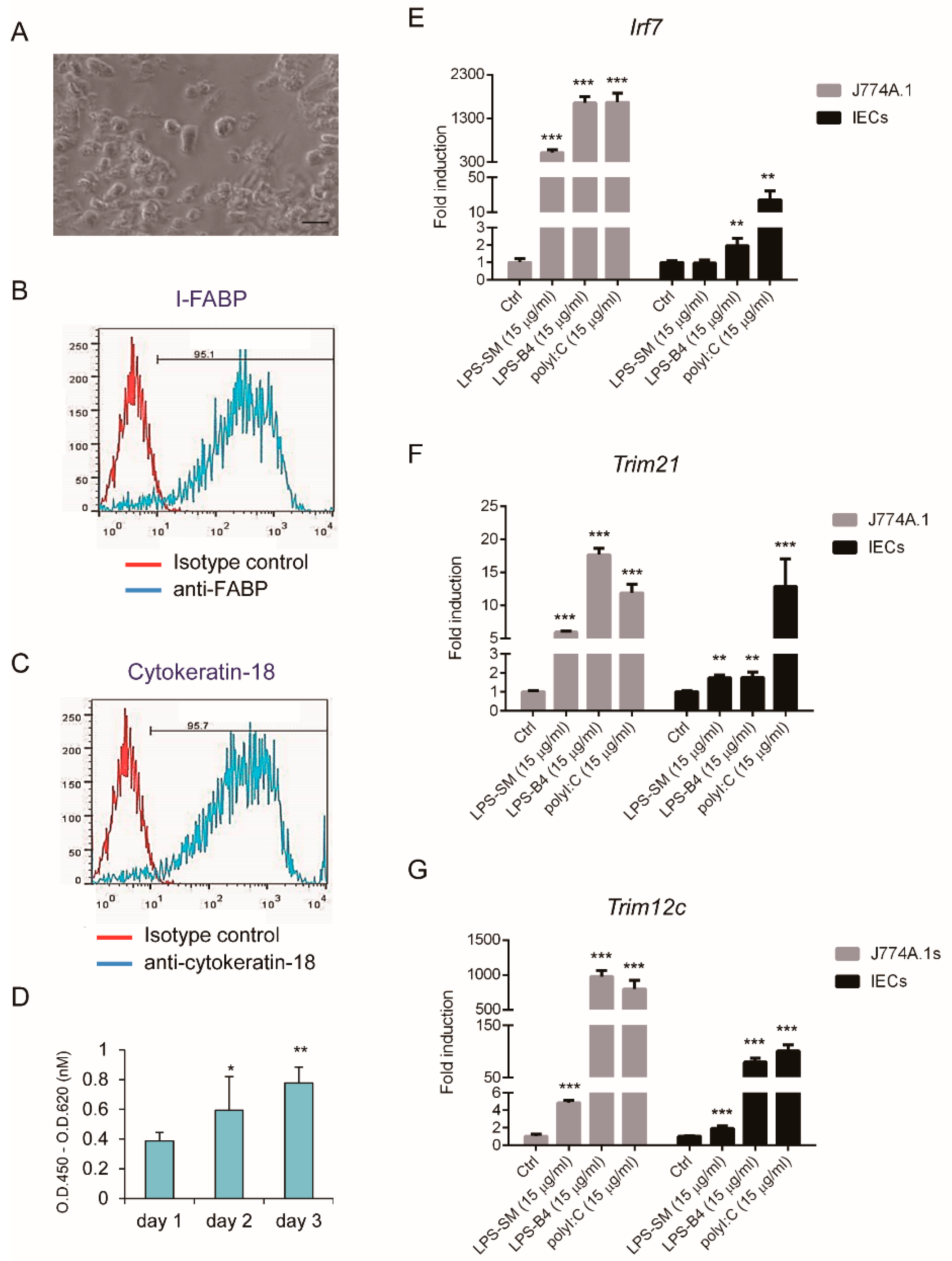 Viruses 11 00763 g001 Viruses 11 00763 g001