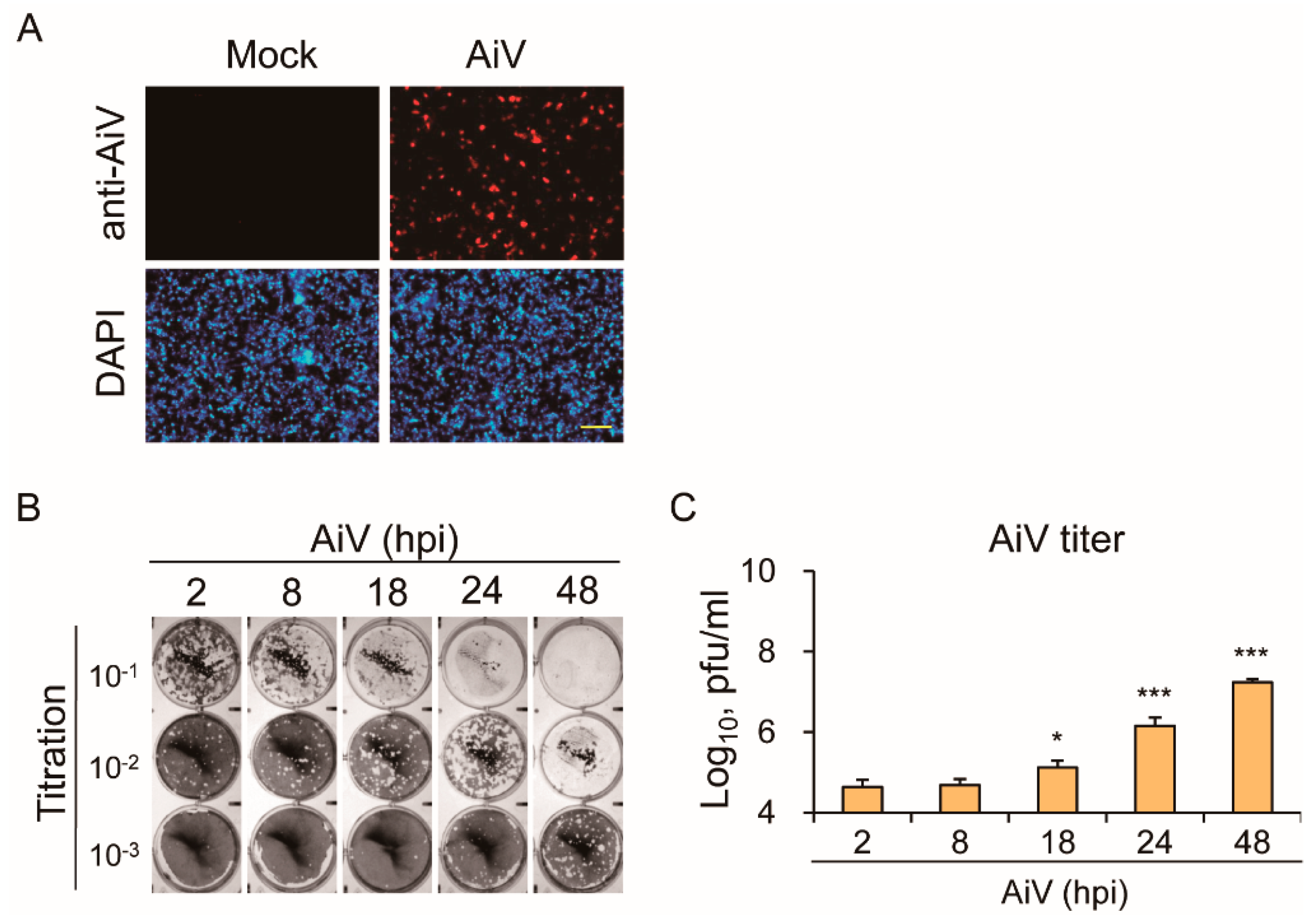 Viruses 11 00763 g003 Viruses 11 00763 g003