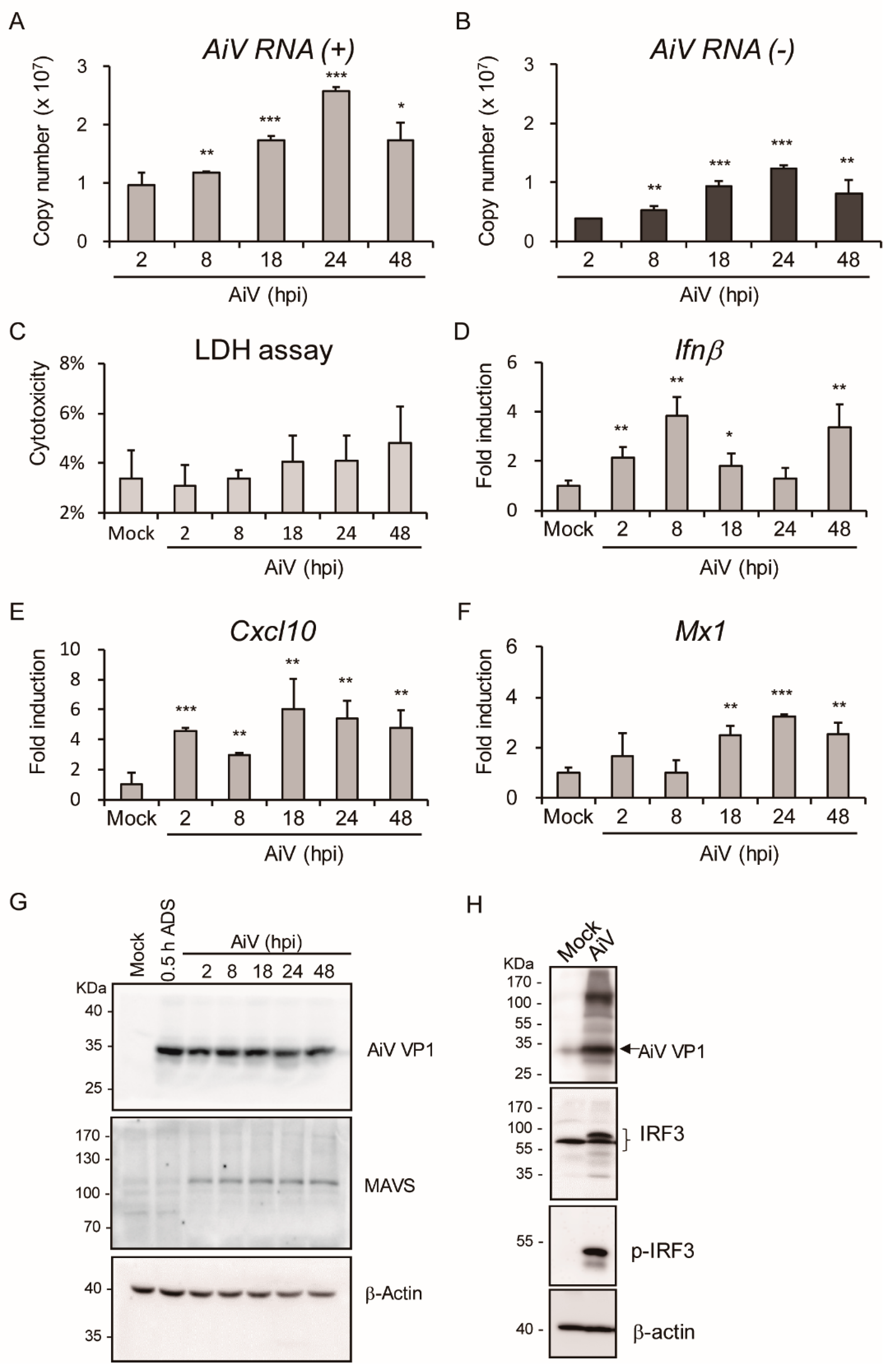 Viruses 11 00763 g004 Viruses 11 00763 g004