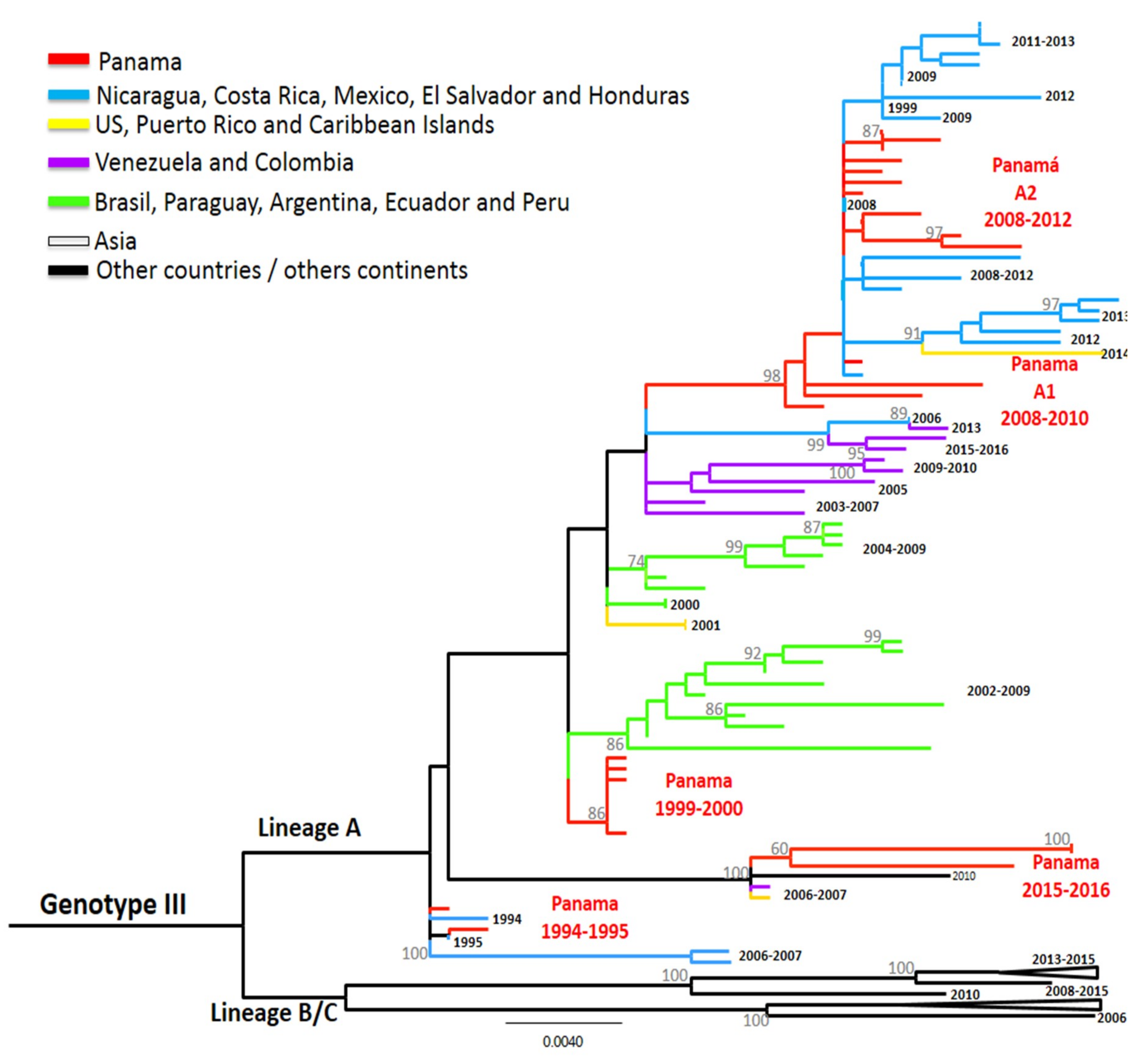 Viruses 11 00764 g004 Viruses 11 00764 g004