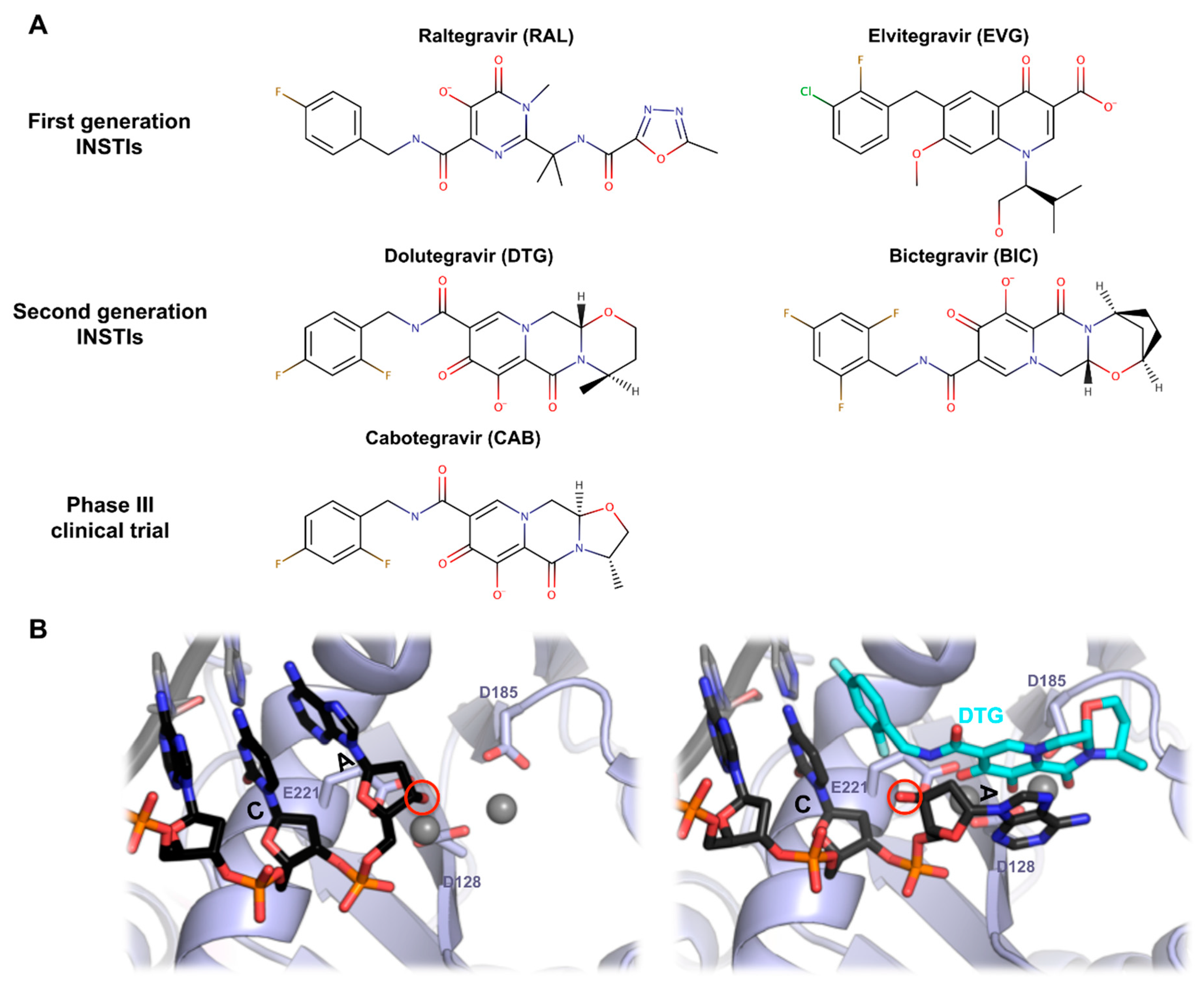 Viruses 11 00770 g006