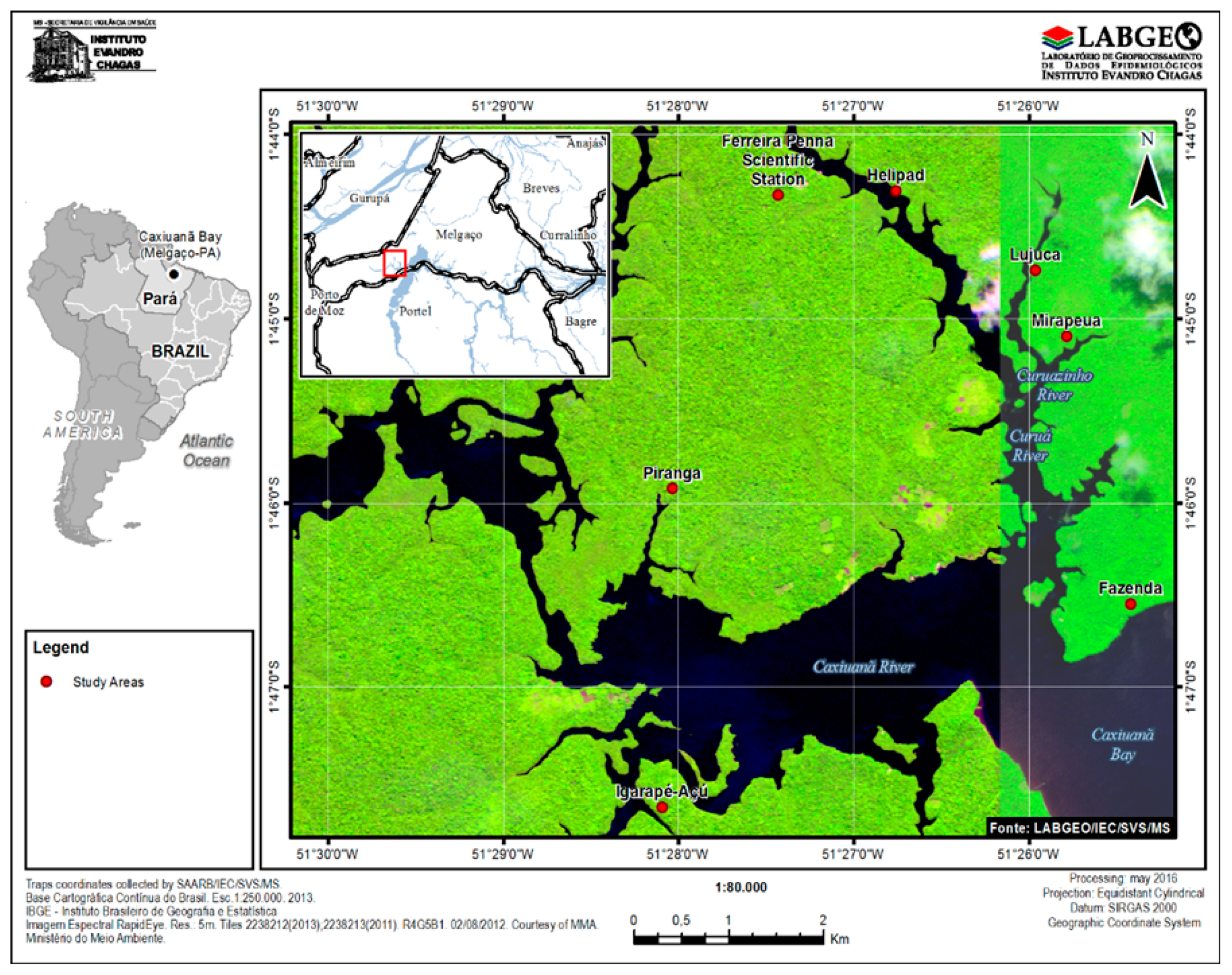 Viruses 11 00774 g001