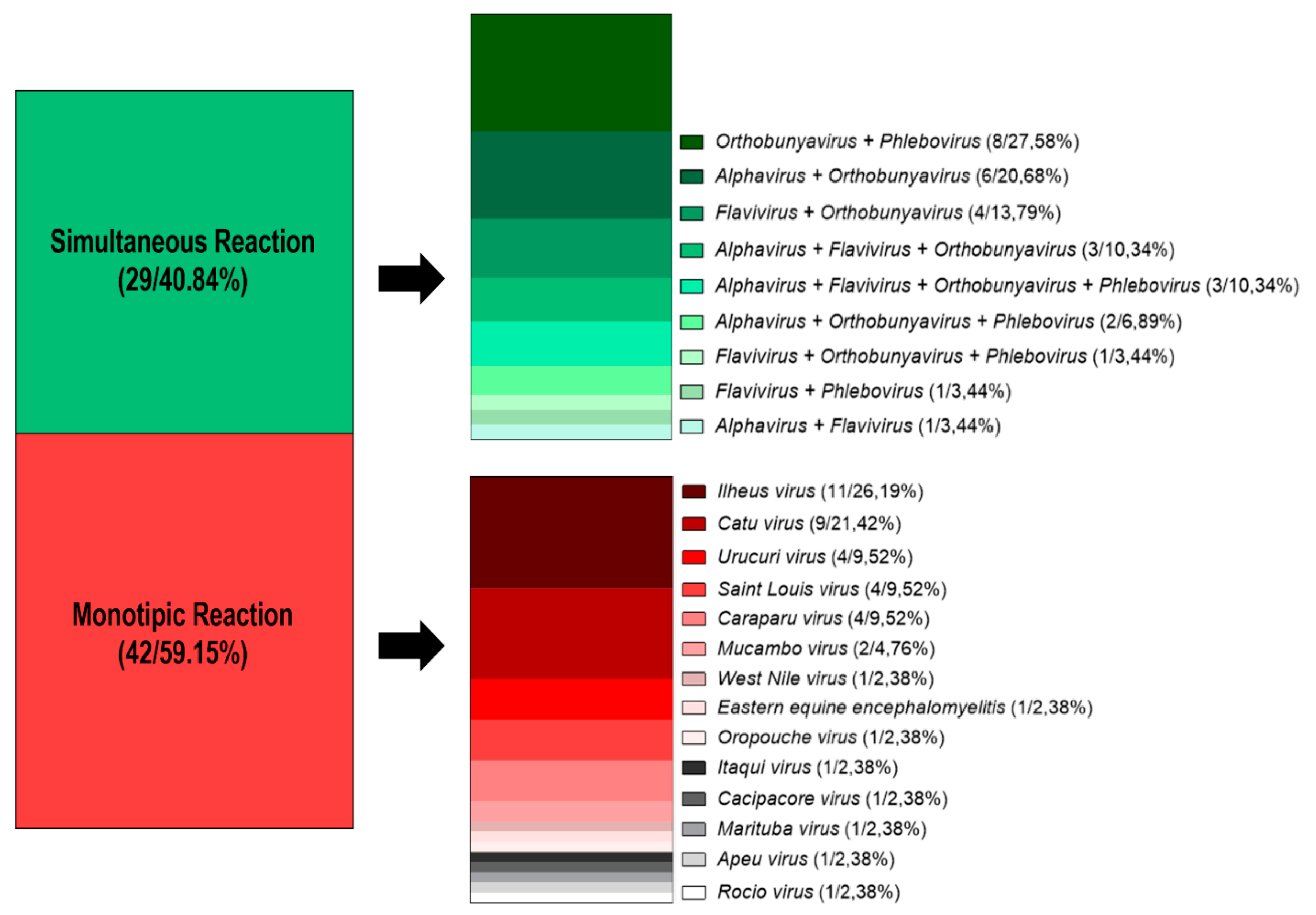 Viruses 11 00774 g002