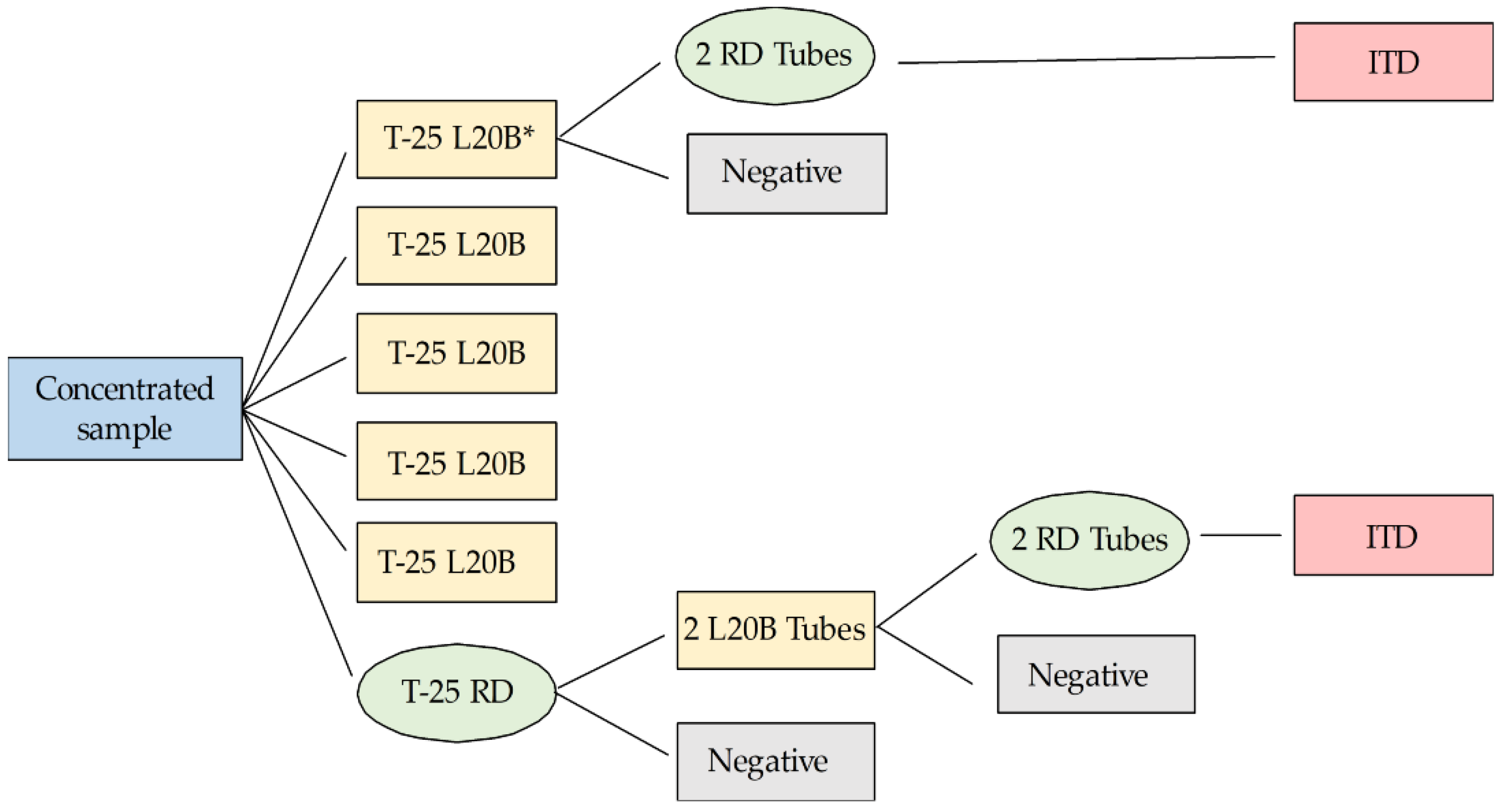 Viruses 11 00775 g001