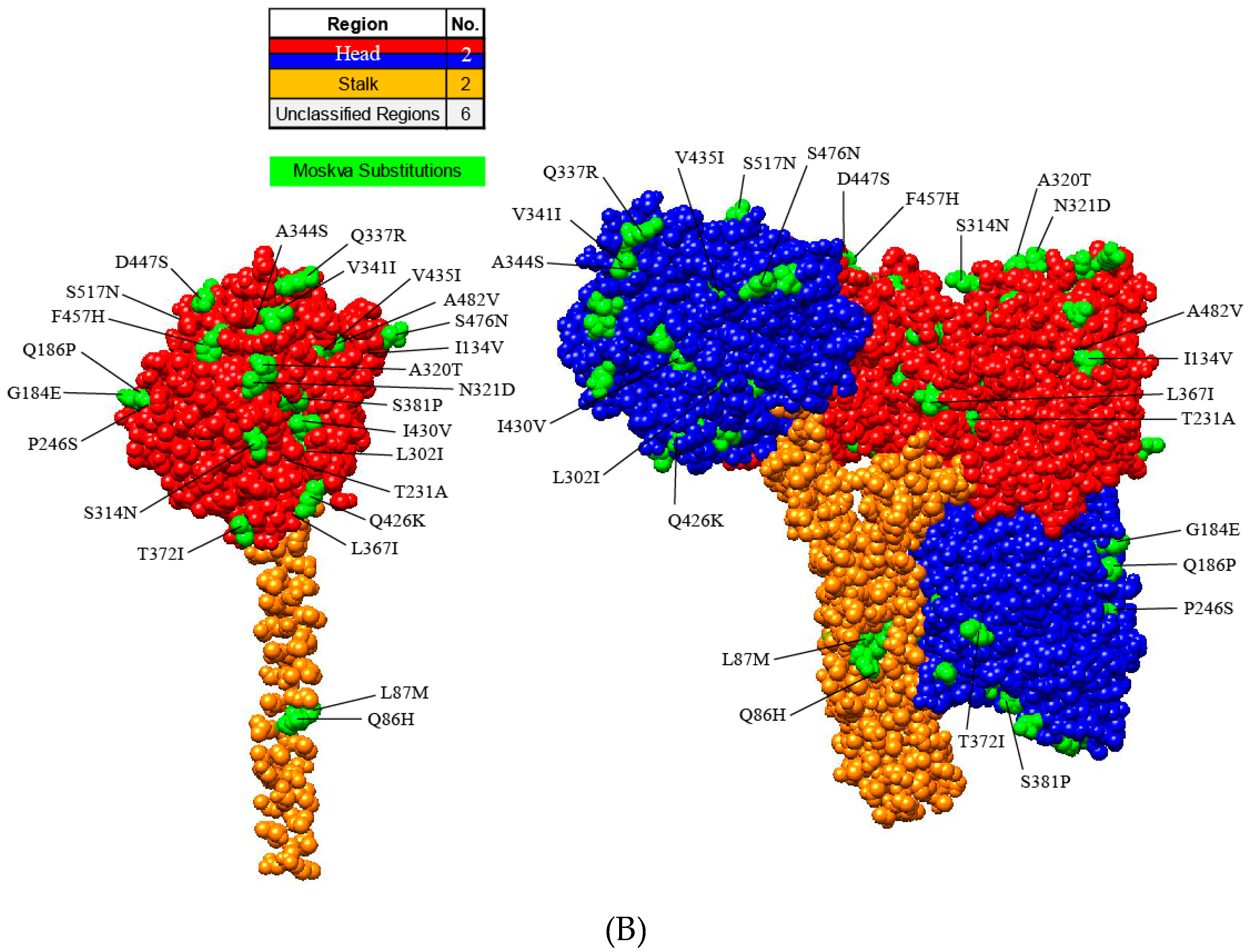 Viruses 11 00777 g003b
