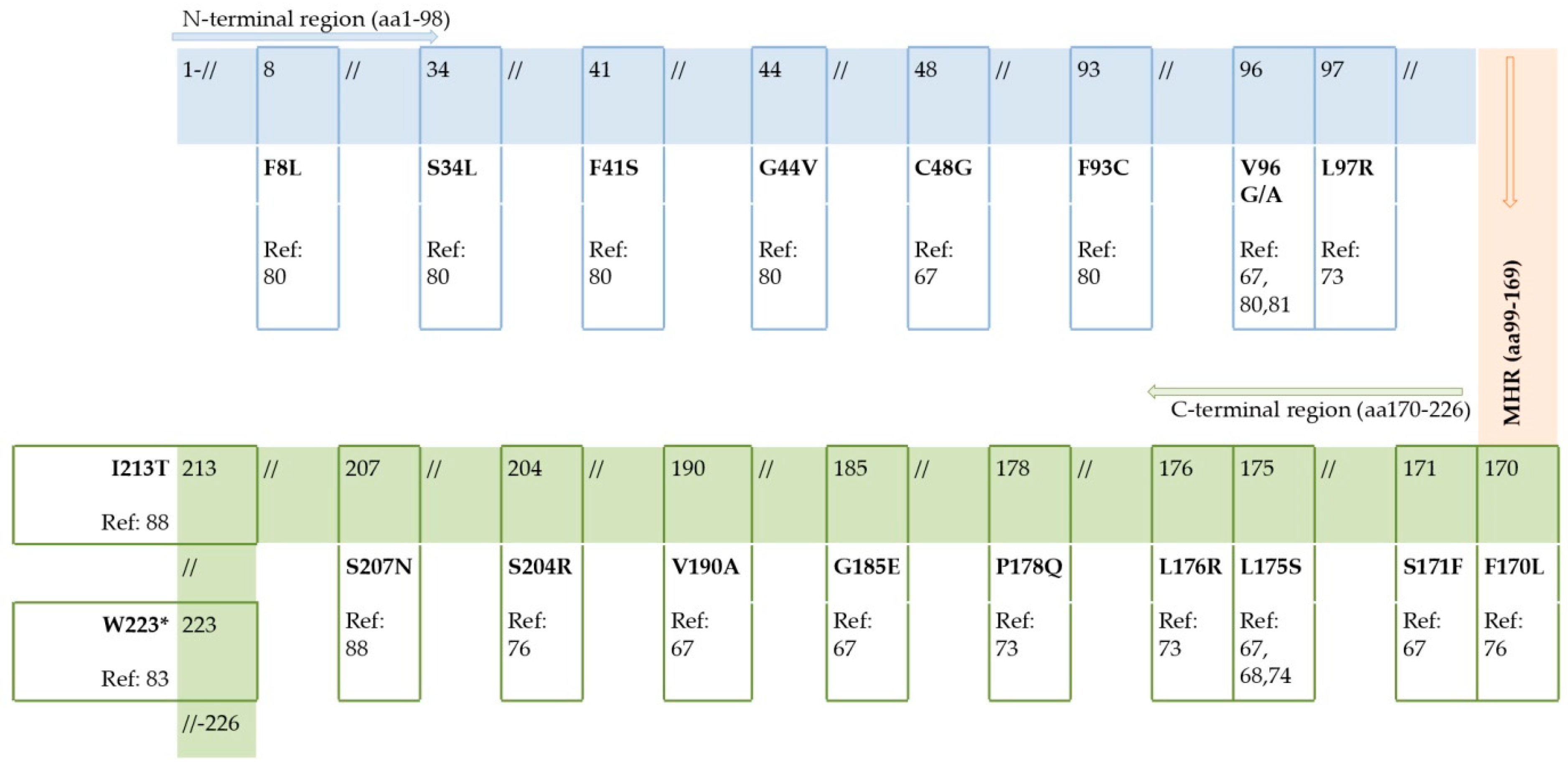 Viruses 11 00778 g003
