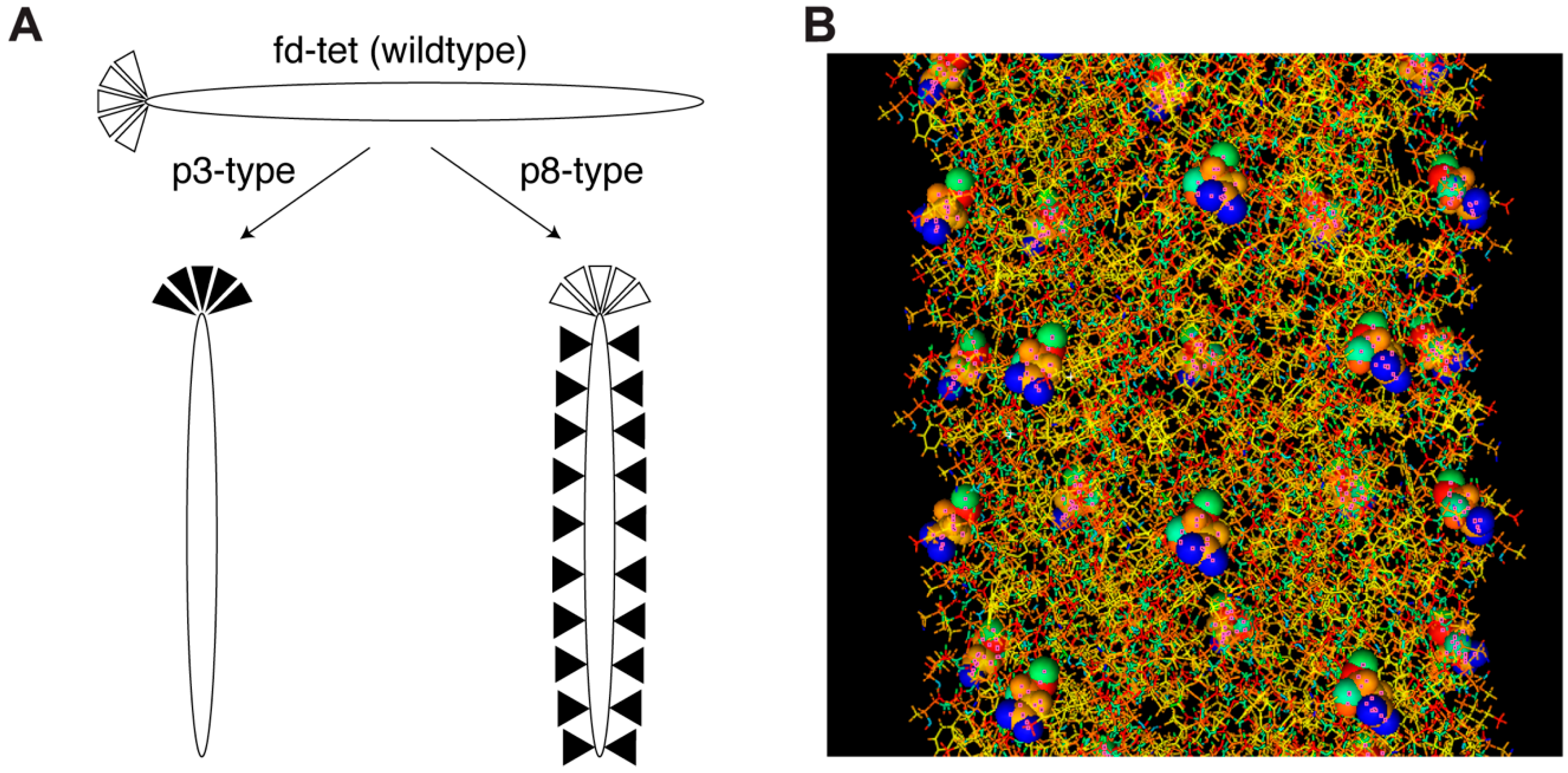 Viruses 11 00785 g001