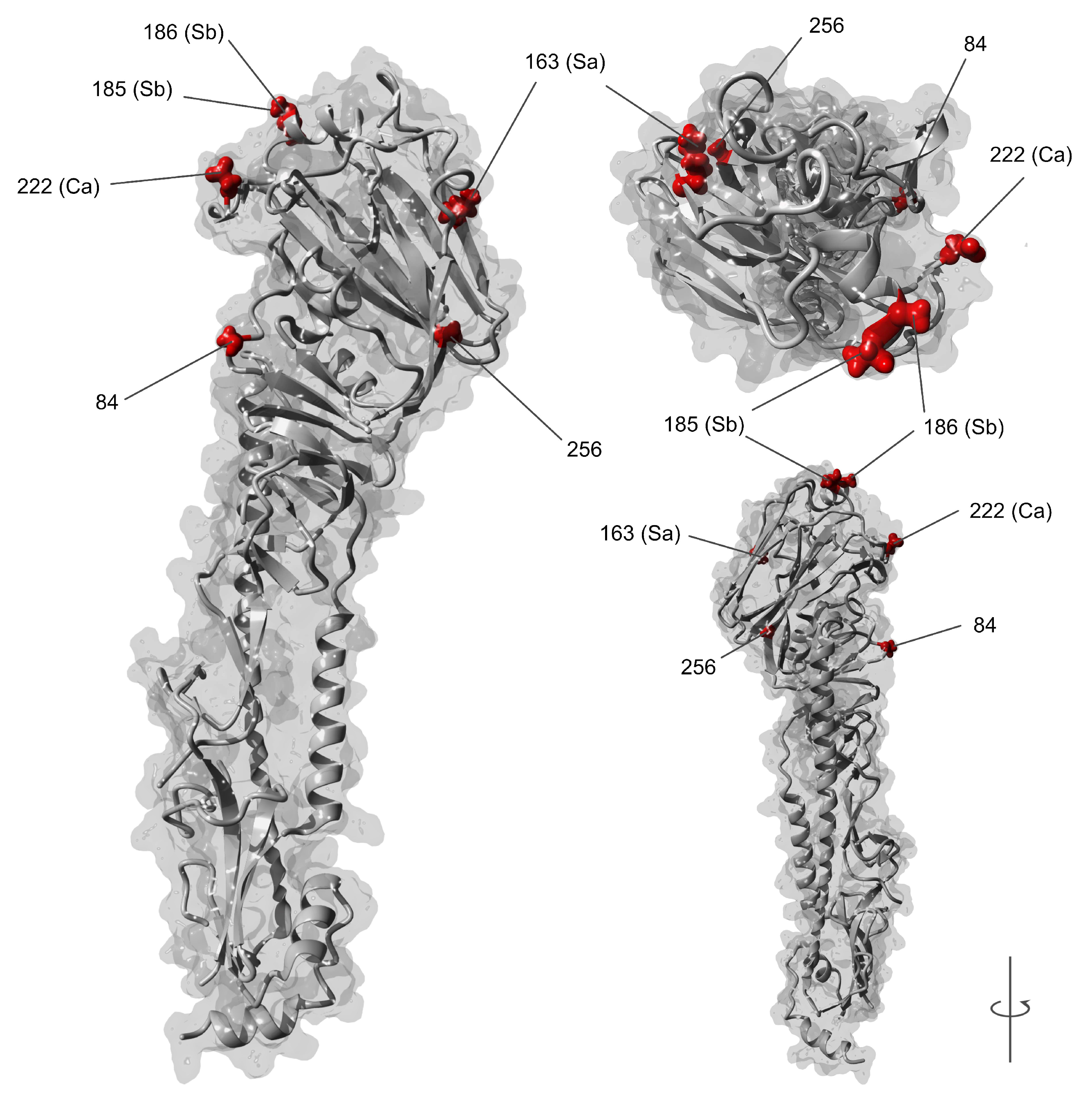 Viruses 11 00791 g002