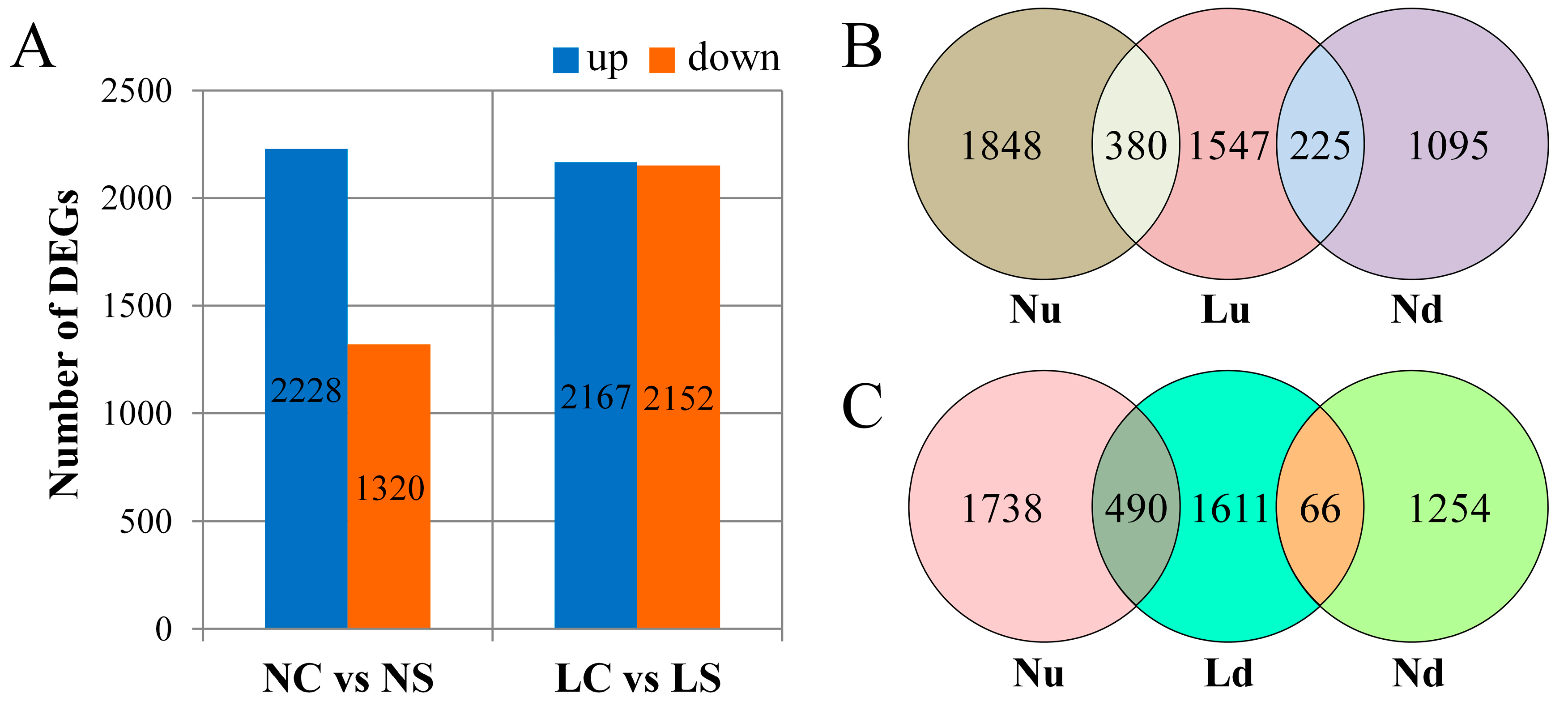 Viruses 11 00793 g002 Viruses 11 00793 g002