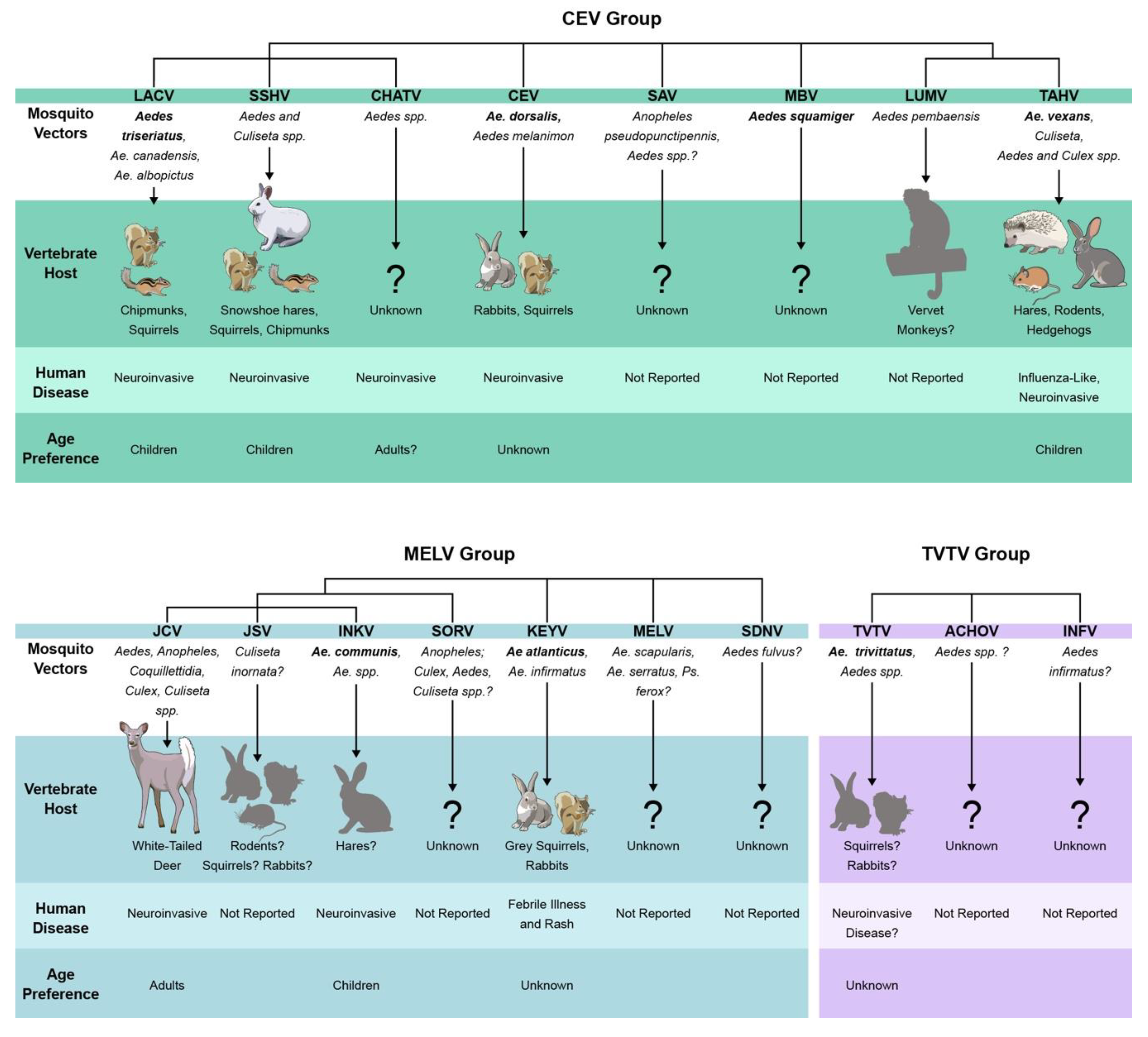 Viruses 11 00794 g001