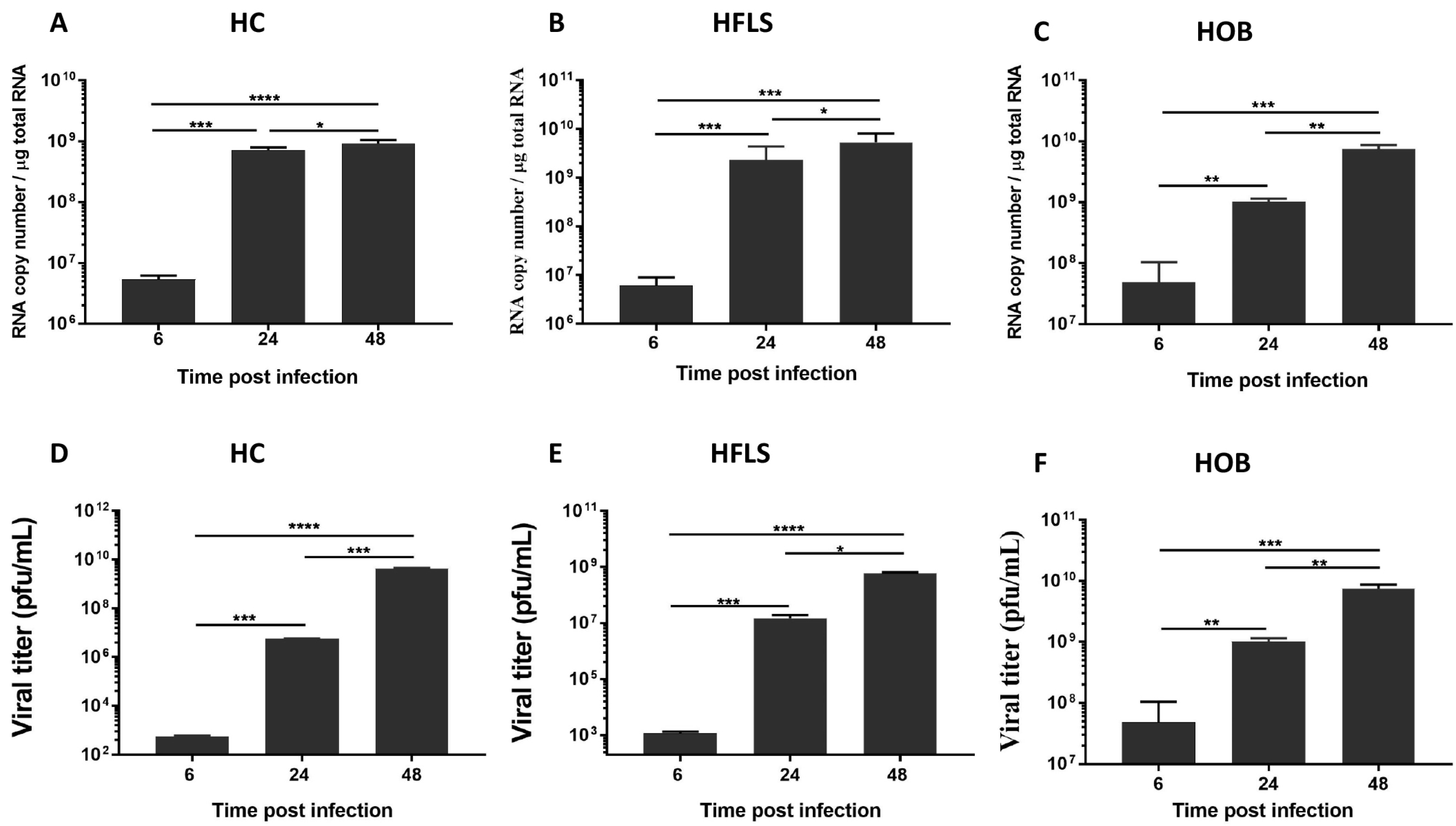 Viruses 11 00797 g001