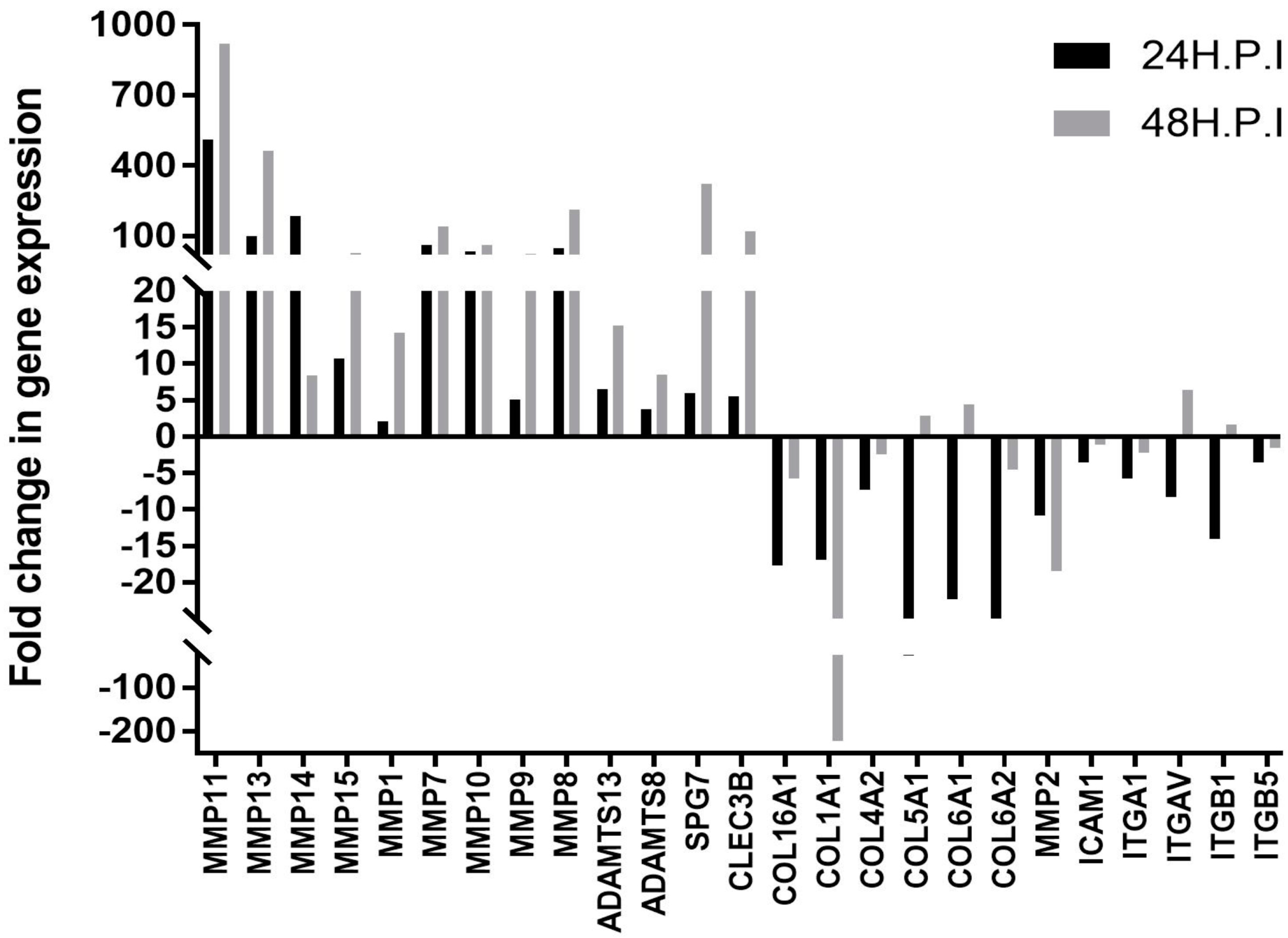 Viruses 11 00797 g002
