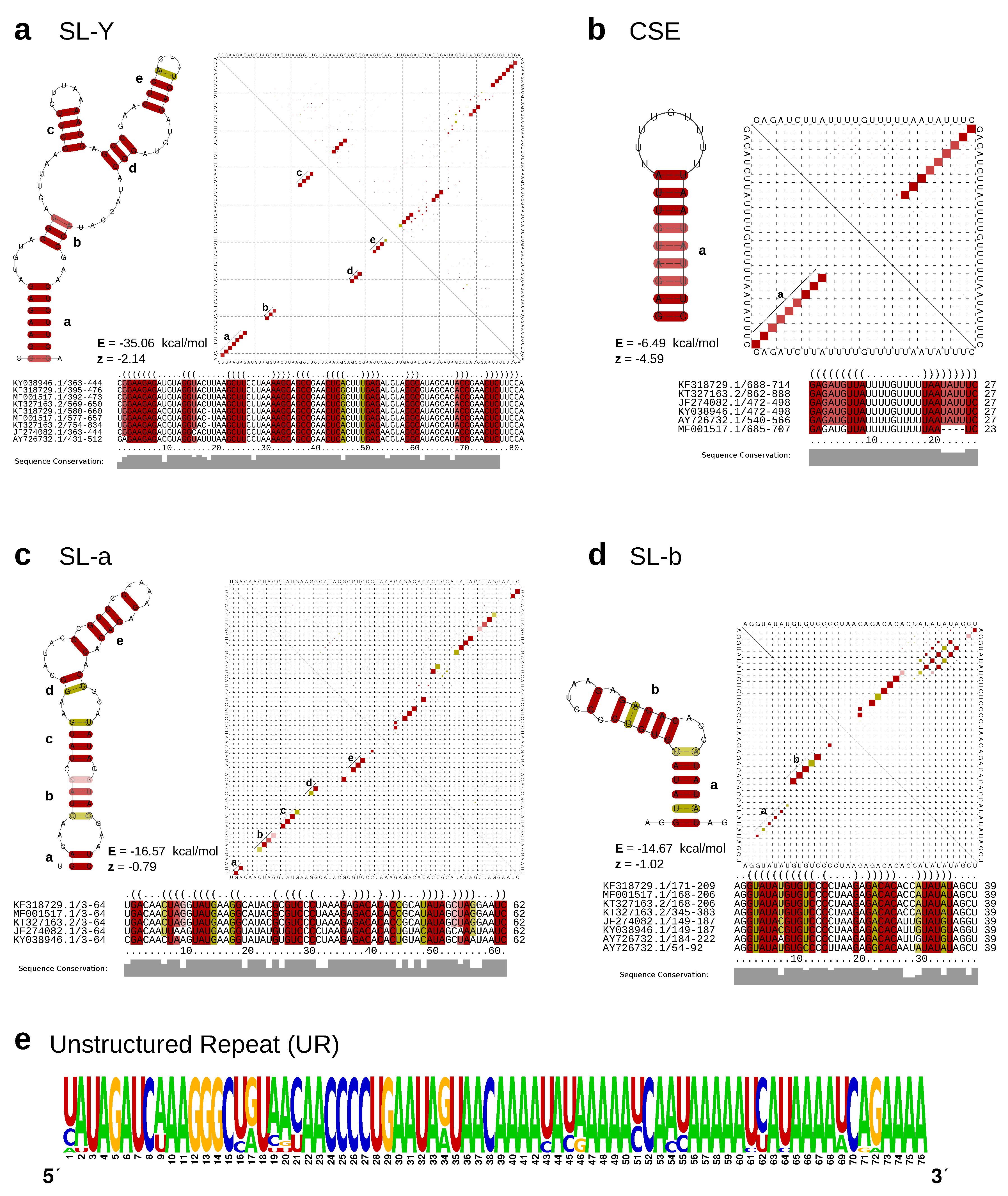 Viruses 11 00798 g003 Viruses 11 00798 g003