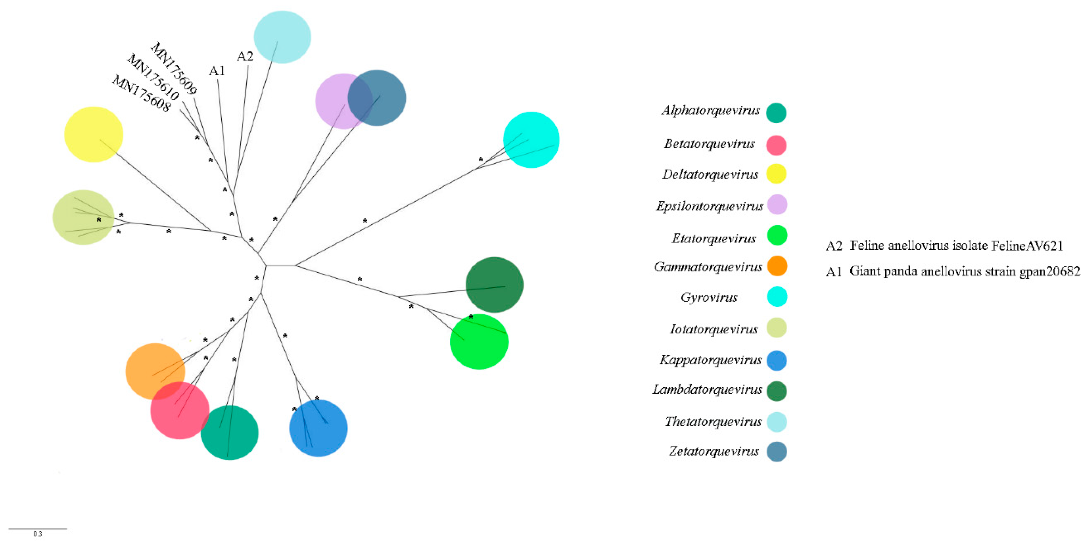 Viruses 11 00803 g008
