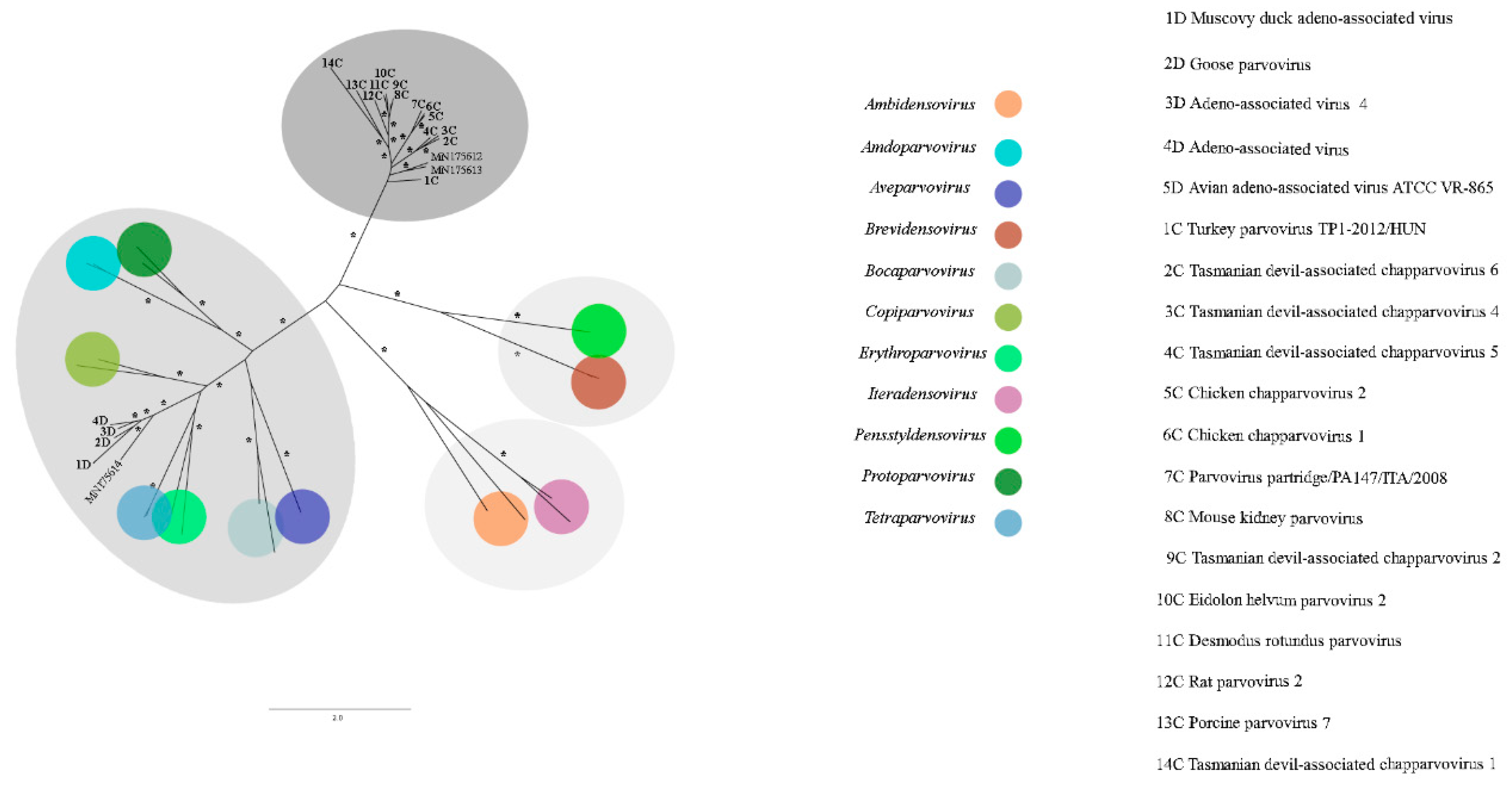 Viruses 11 00803 g012