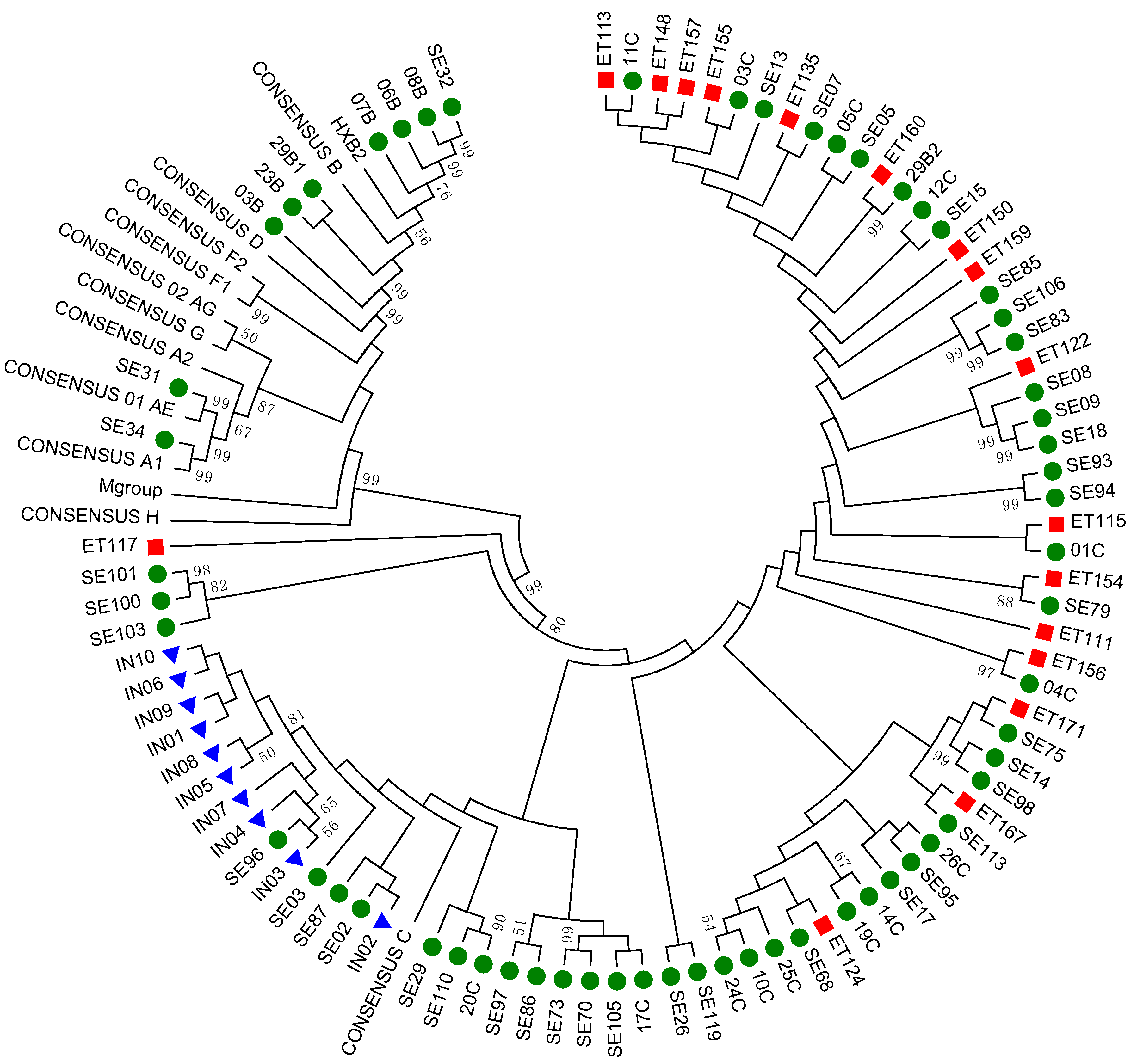 Viruses 11 00806 g002 Viruses 11 00806 g002