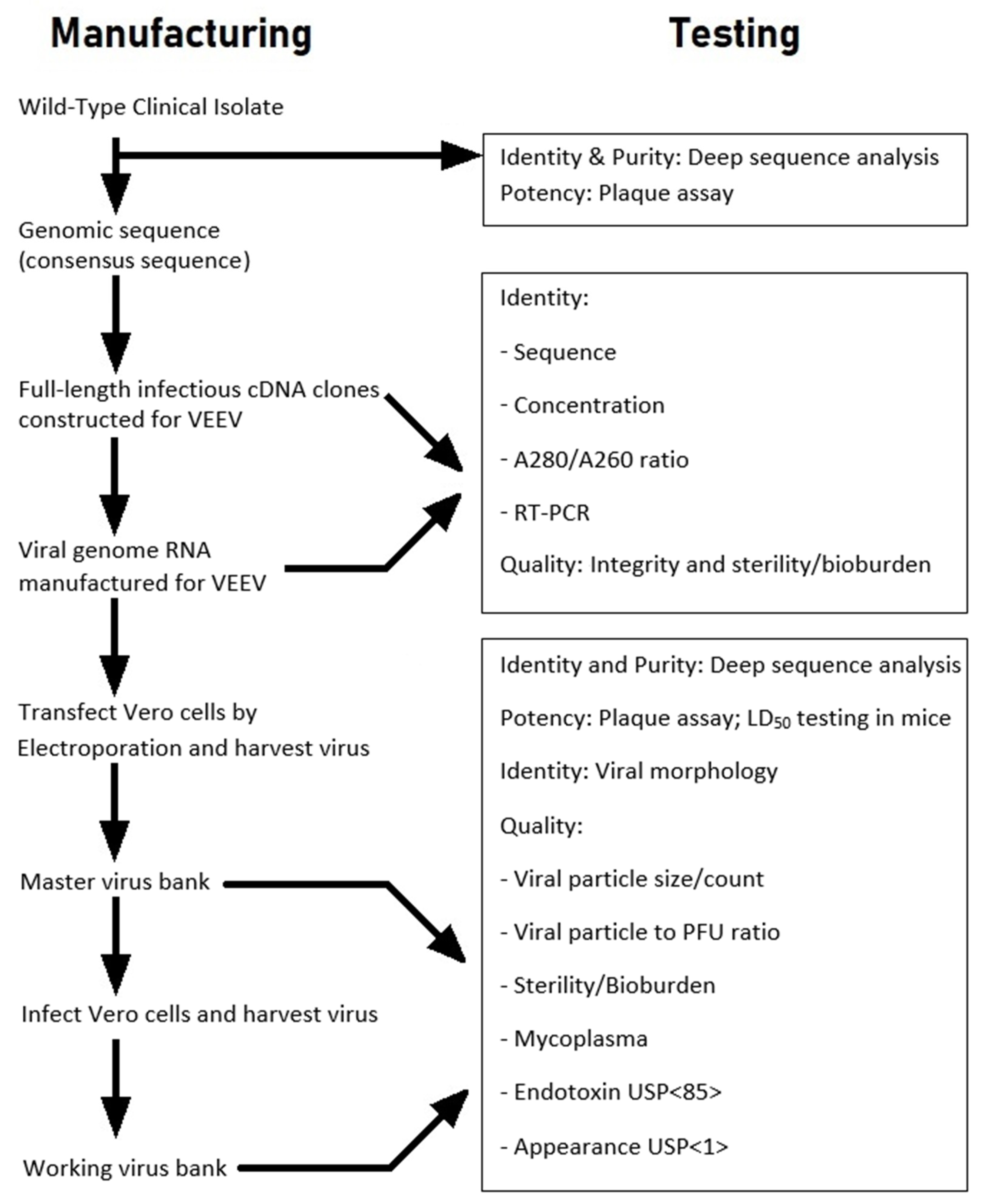 Viruses 11 00807 g002 Viruses 11 00807 g002