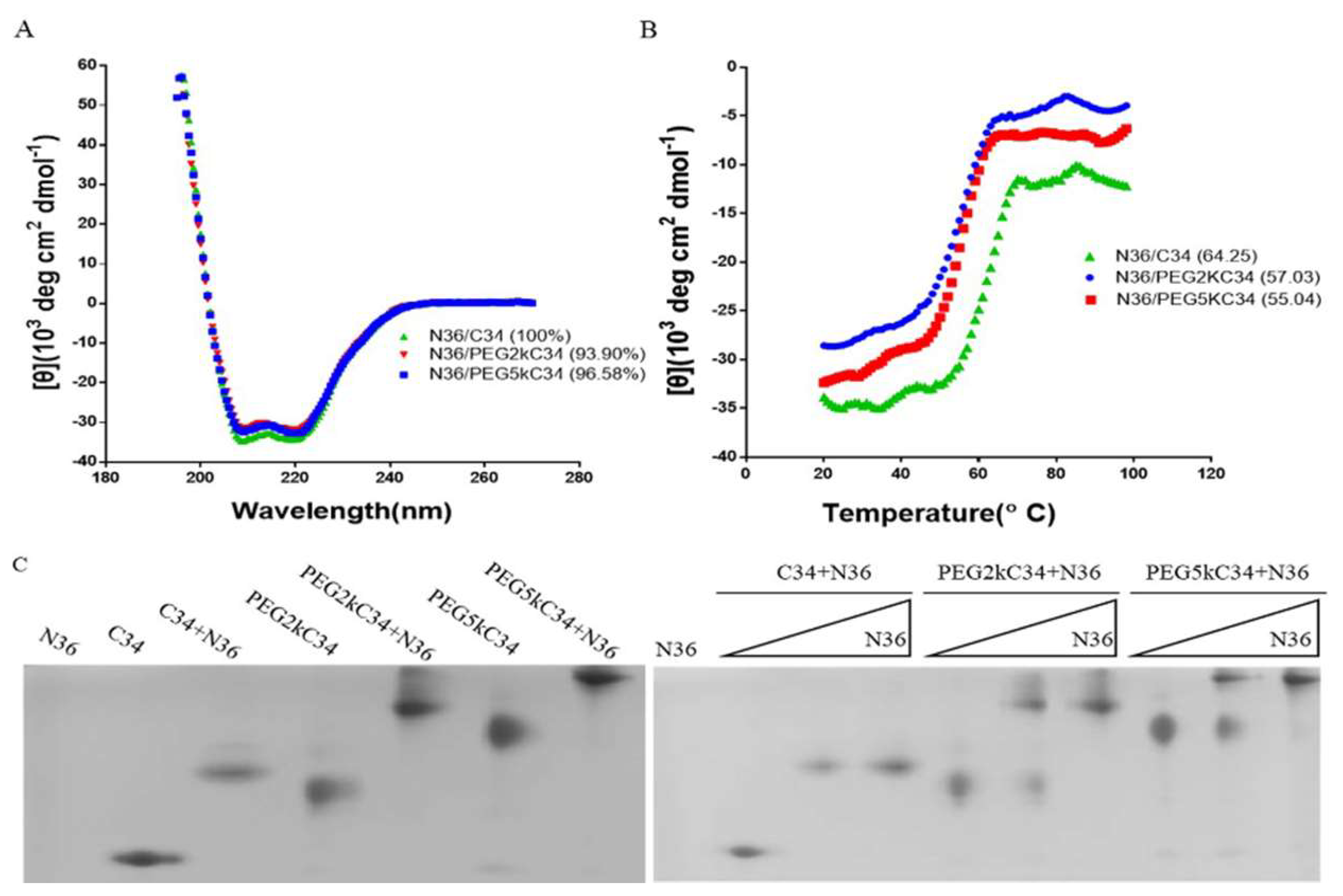 Viruses 11 00811 g002 Viruses 11 00811 g002
