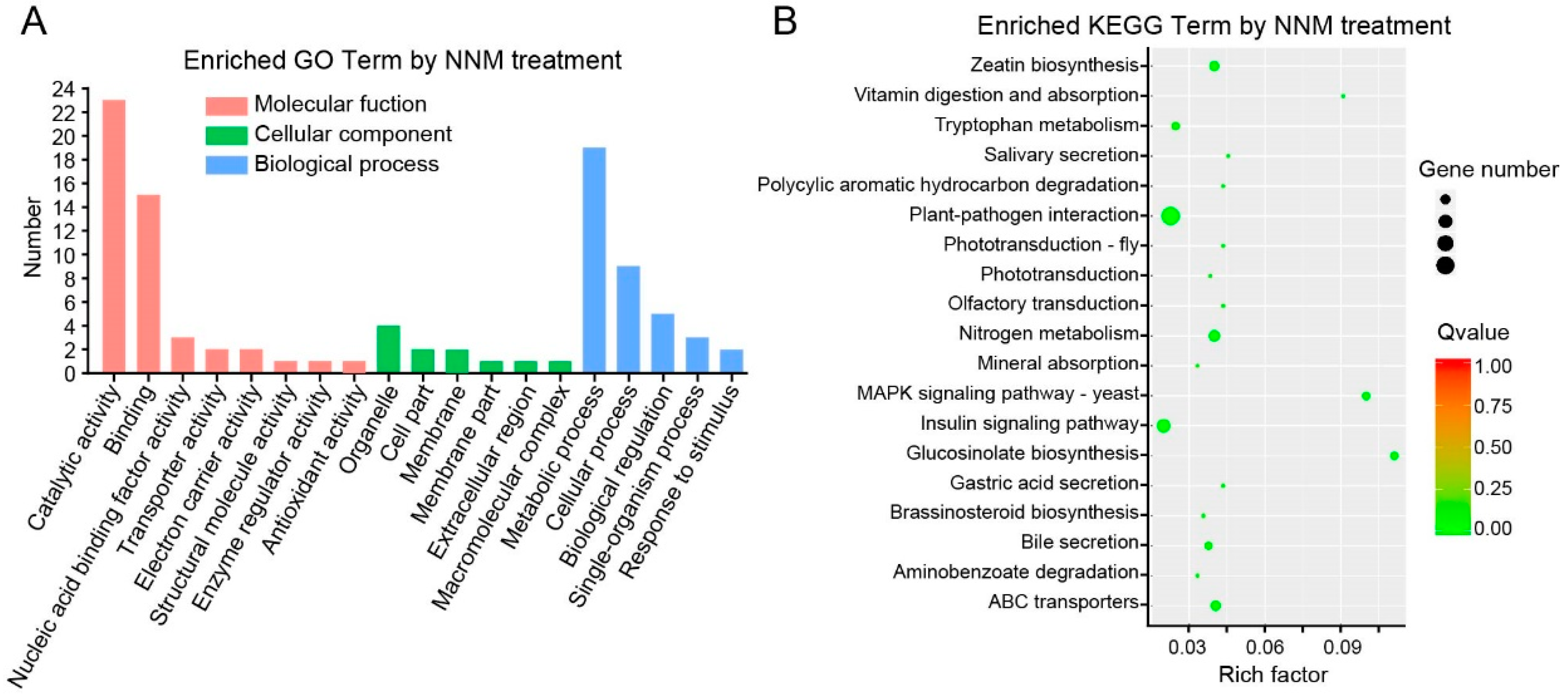 Viruses 11 00815 g003 Viruses 11 00815 g003