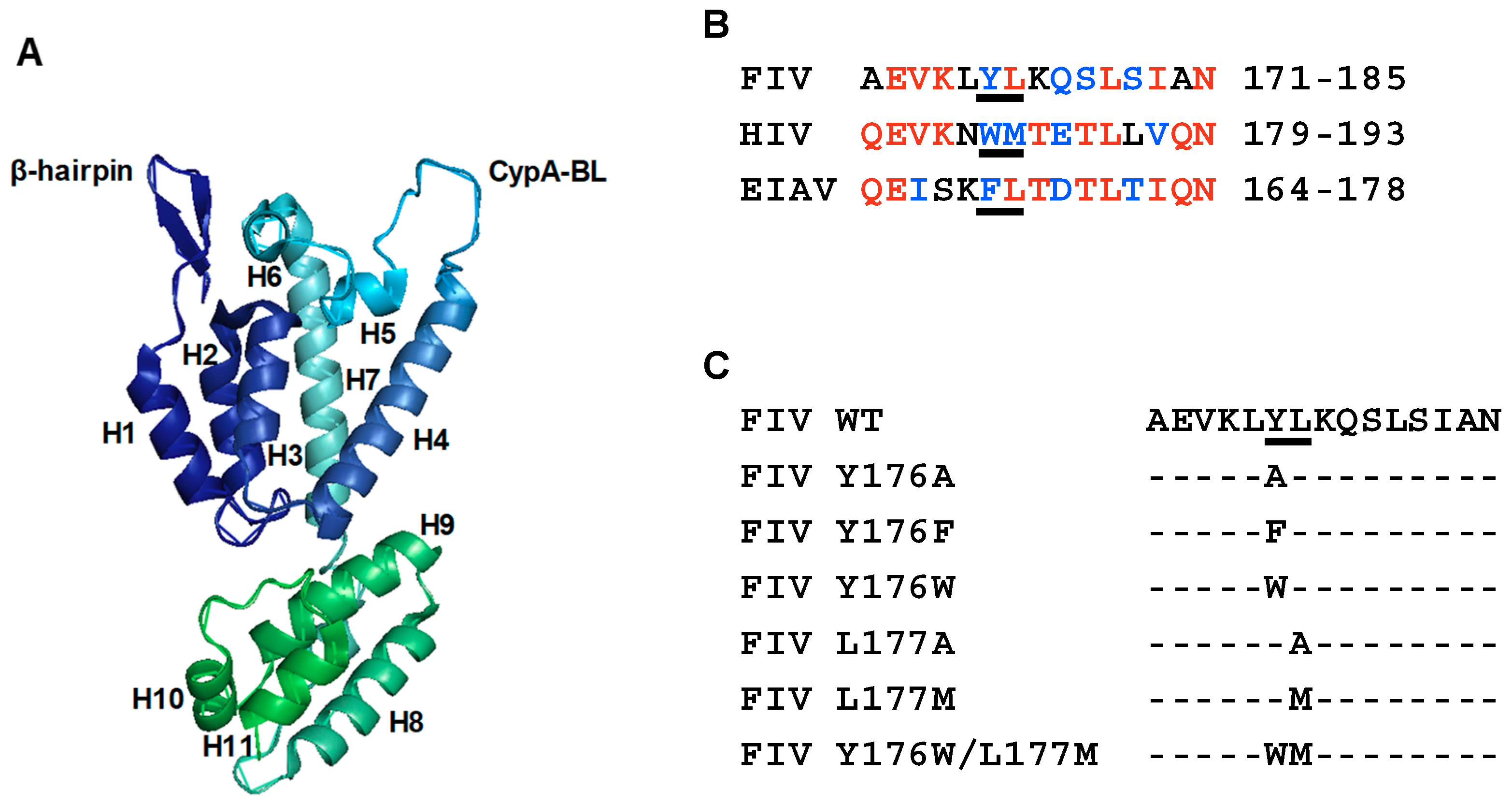 Viruses 11 00816 g001 Viruses 11 00816 g001