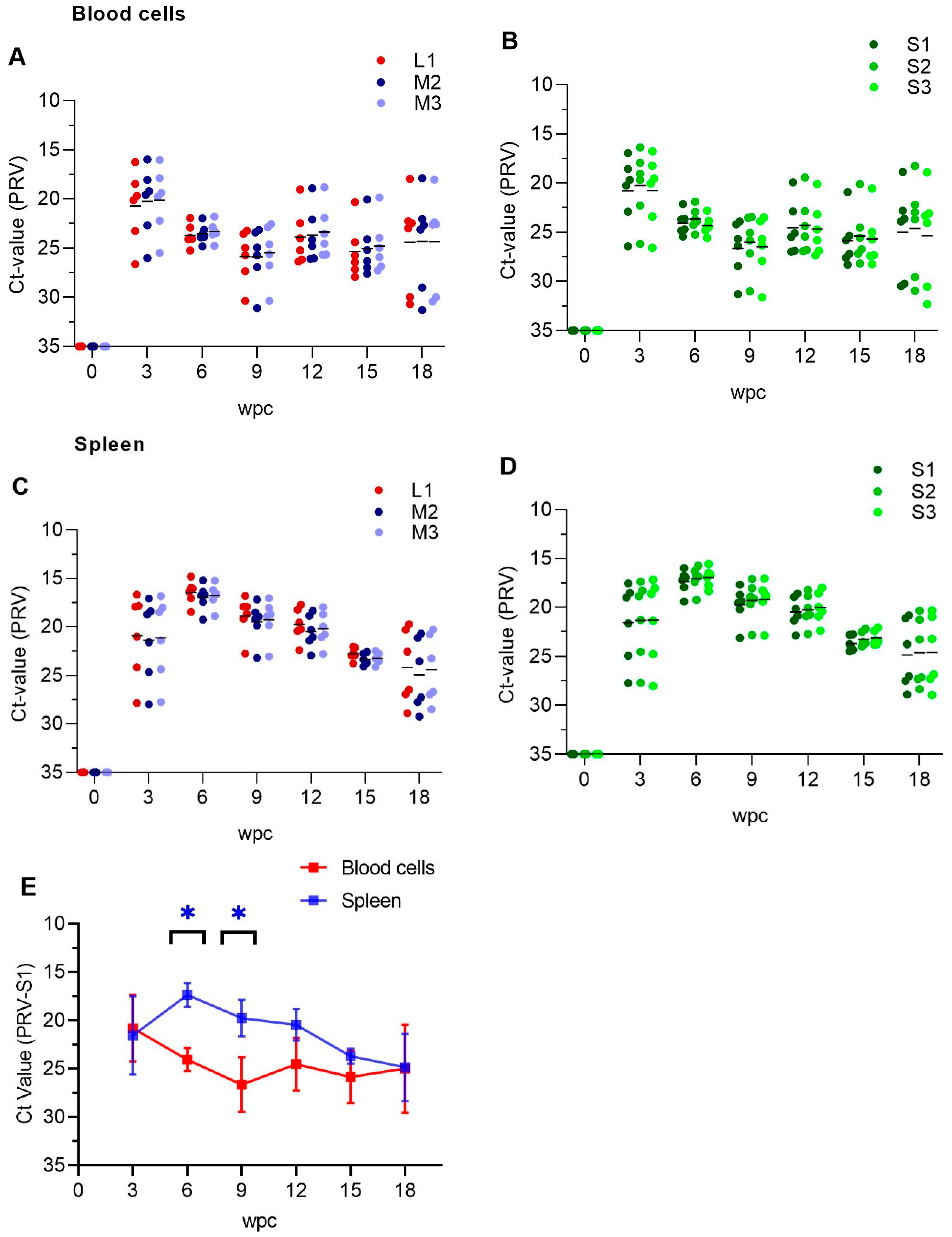 Viruses 11 00824 g001