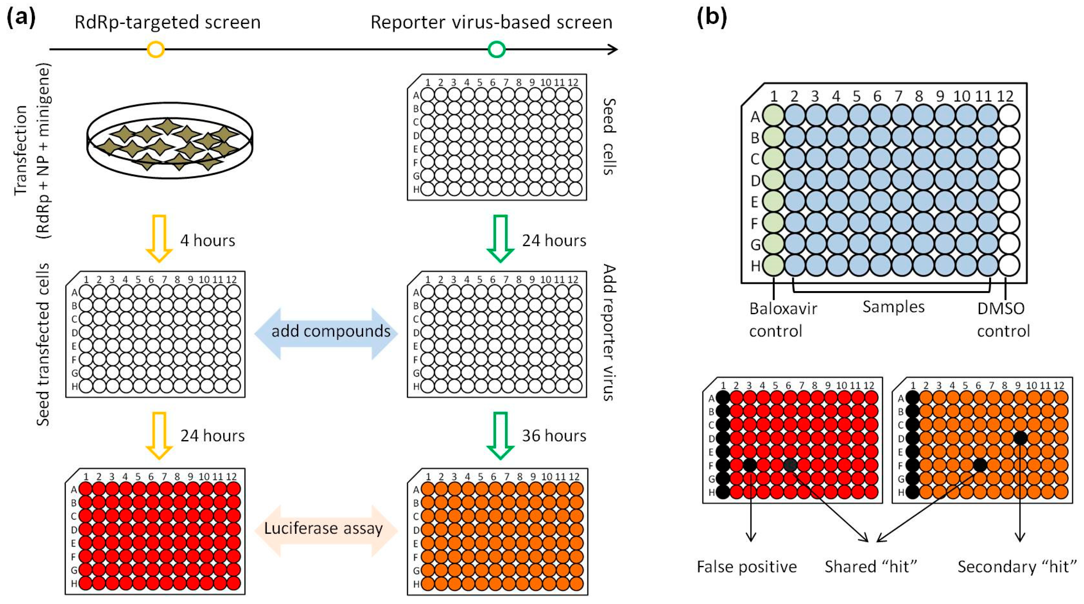 Viruses 11 00826 g003